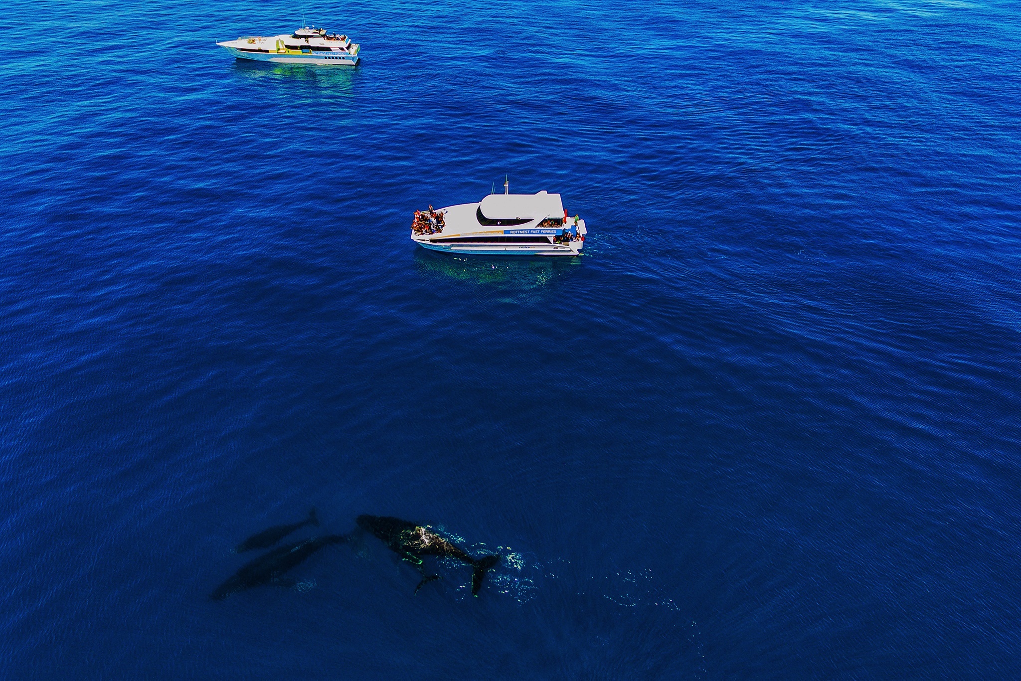 du lich Perth phia tay Australia anh 6