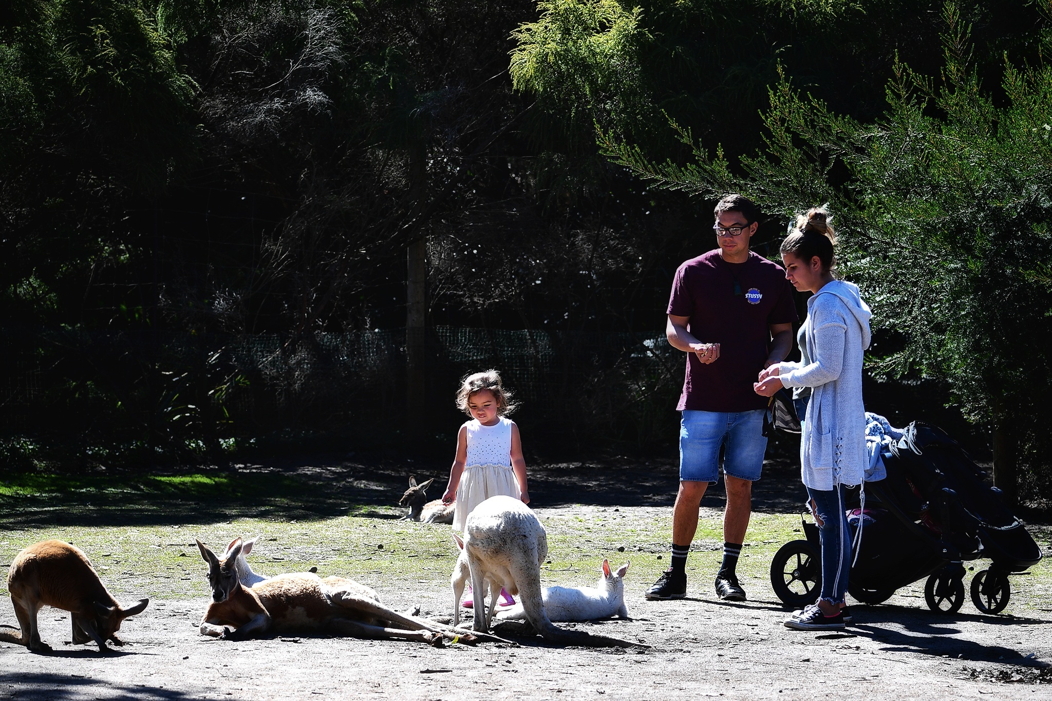 du lich Perth phia tay Australia anh 14