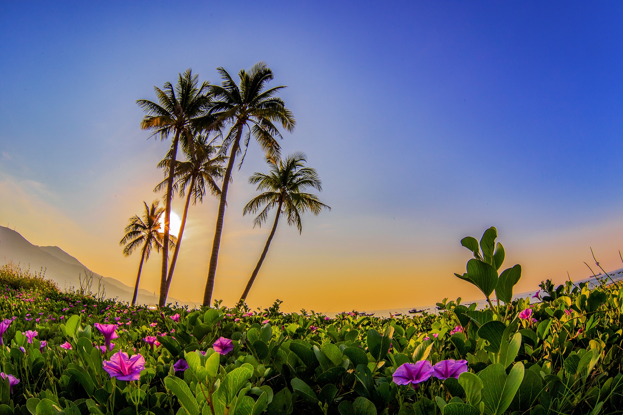 phong canh Da Nang anh 6