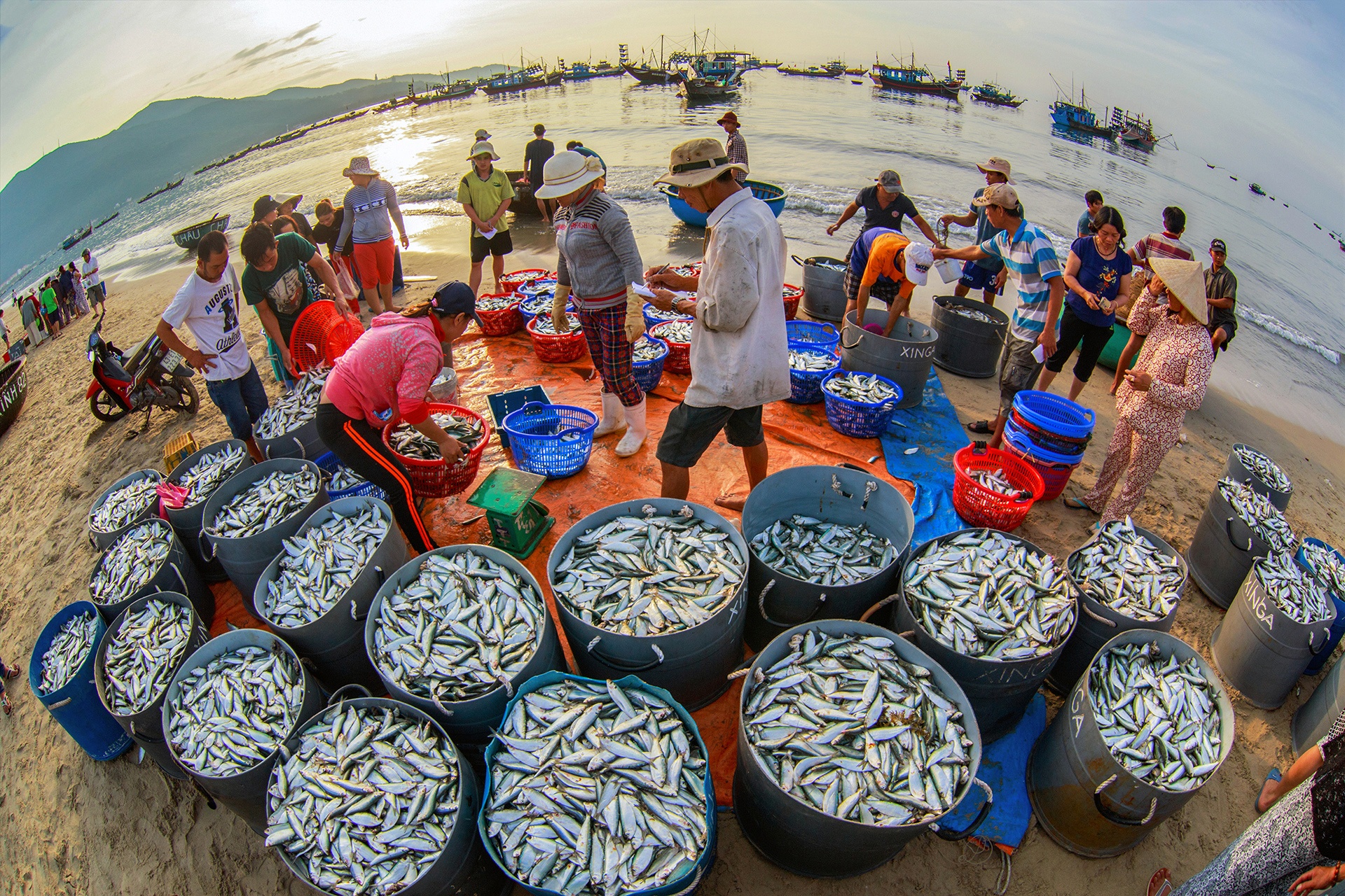 phong canh Da Nang anh 11