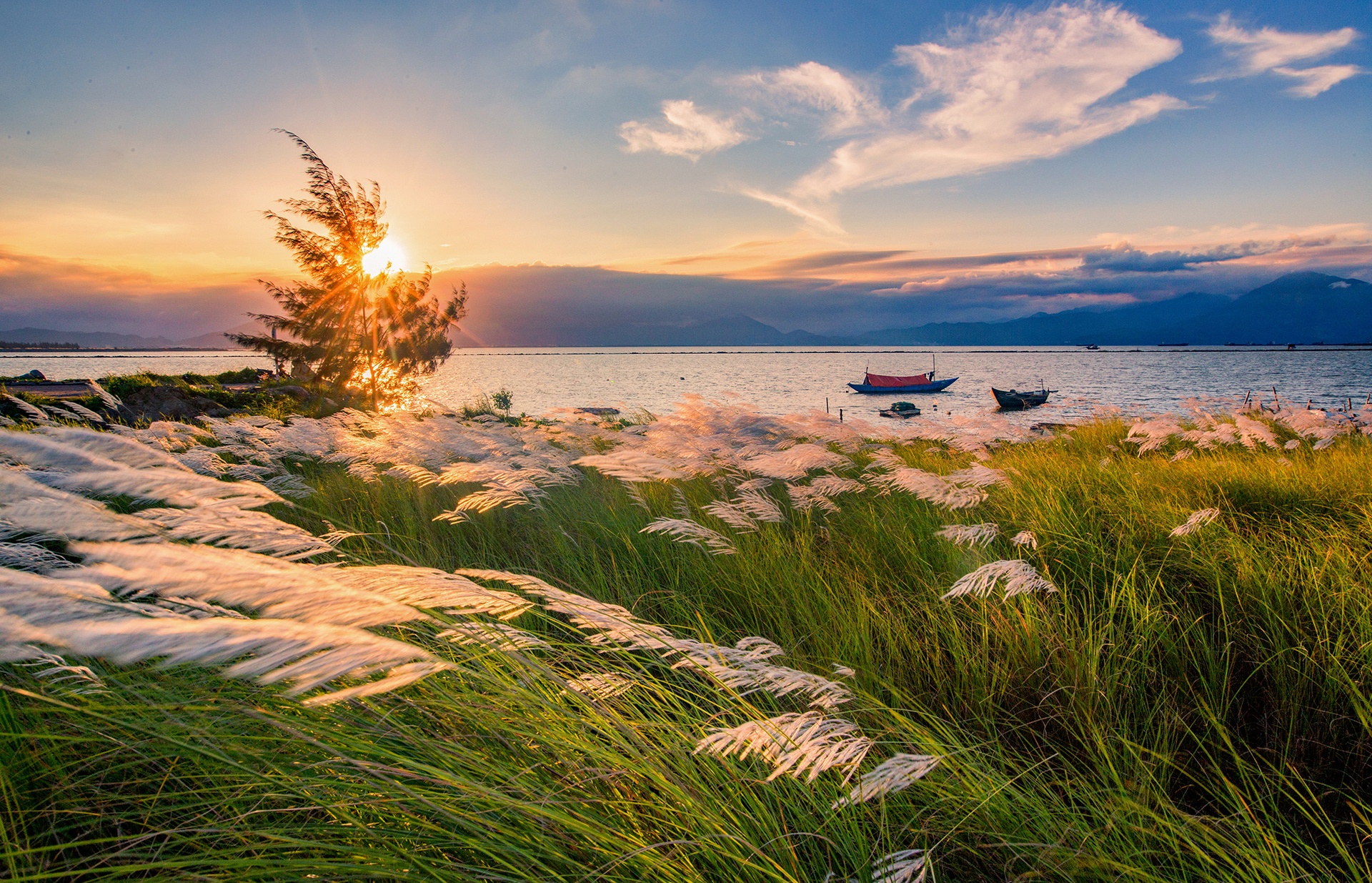 phong canh Da Nang anh 25