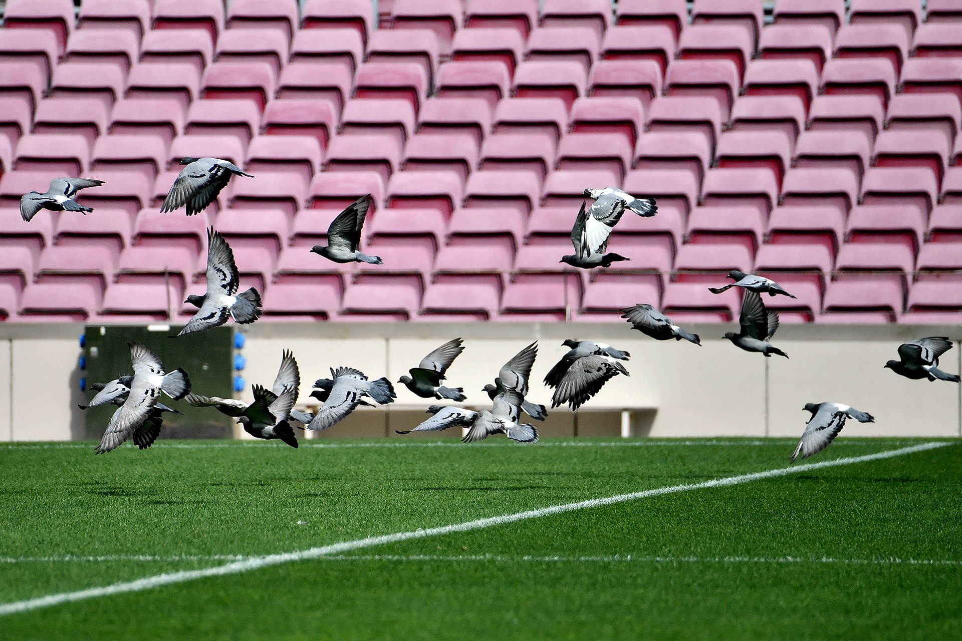 san van dong Nou Camp va Bernabeu anh 24