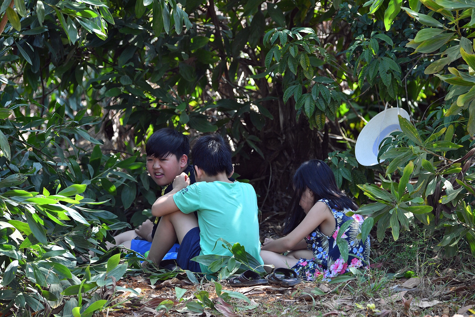 doi nang xem dua o to dia hinh anh 14