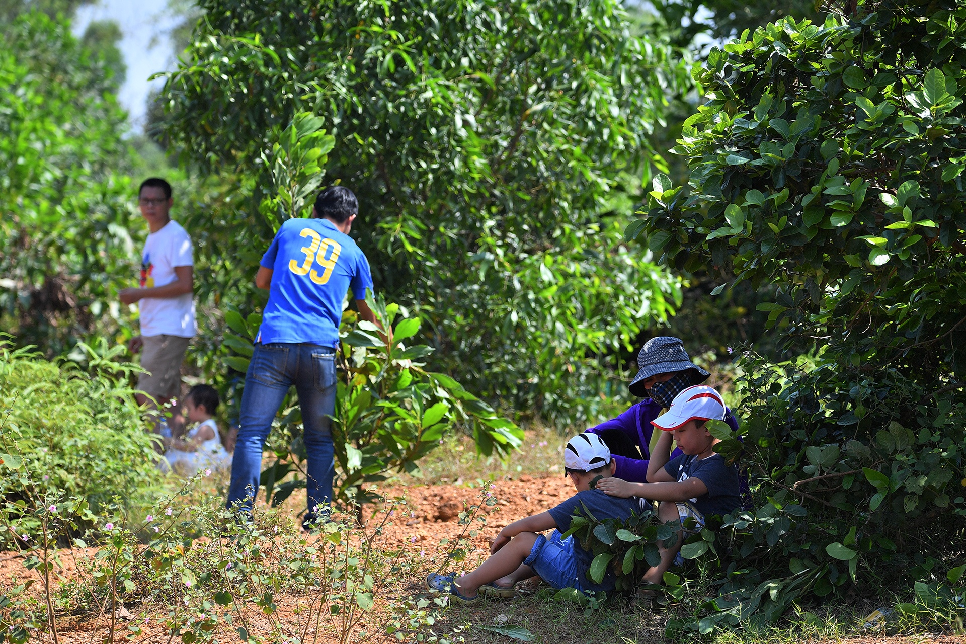 doi nang xem dua o to dia hinh anh 9