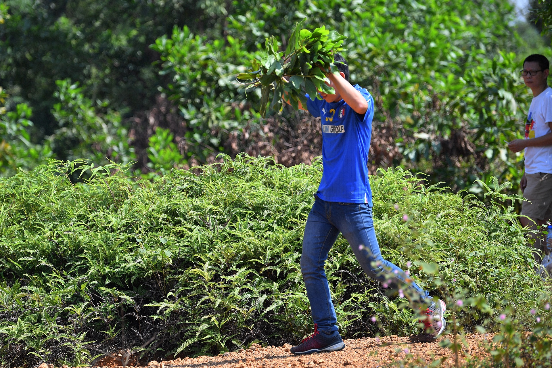 doi nang xem dua o to dia hinh anh 10