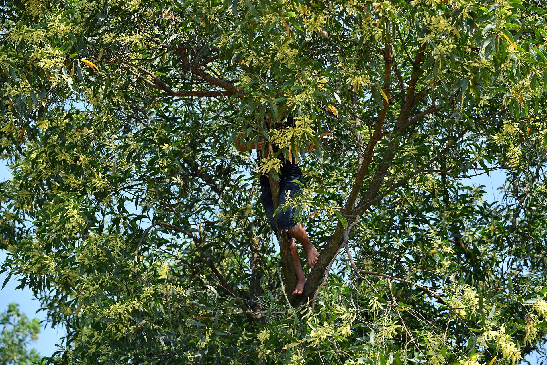 doi nang xem dua o to dia hinh anh 11