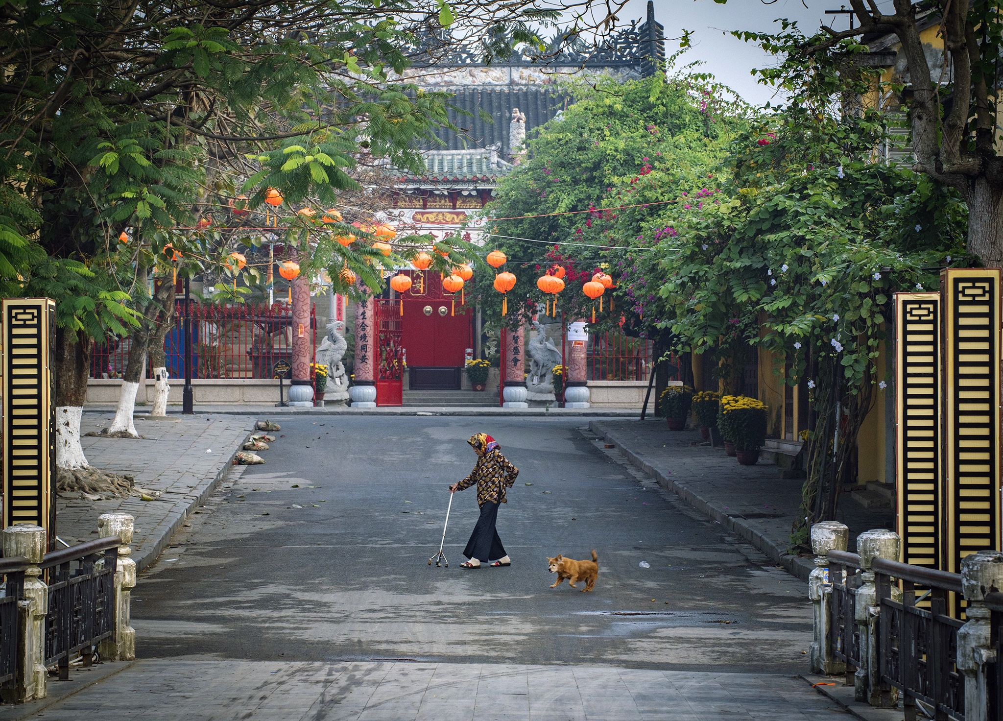 canh dep du lich Hoi An anh 4