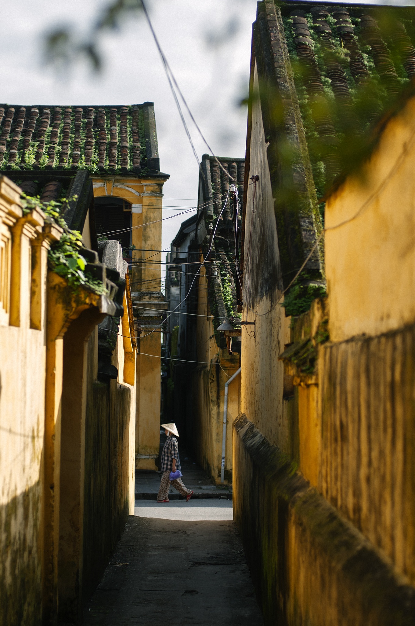 canh dep du lich Hoi An anh 19