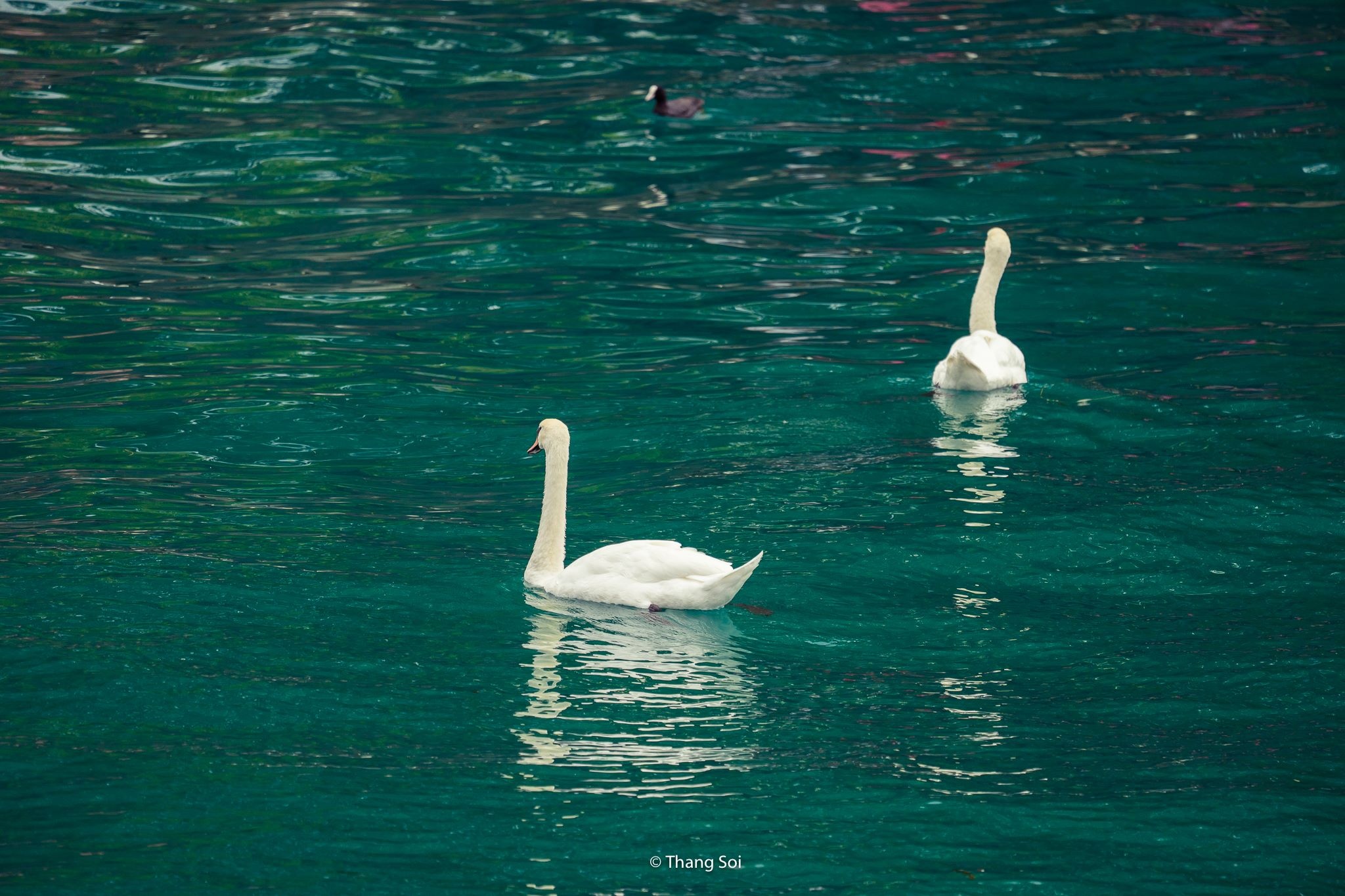 châu Âu trong mắt nhiếp ảnh gia Việt ảnh 19 chau Au trong mat nhiep anh gia Viet anh 19