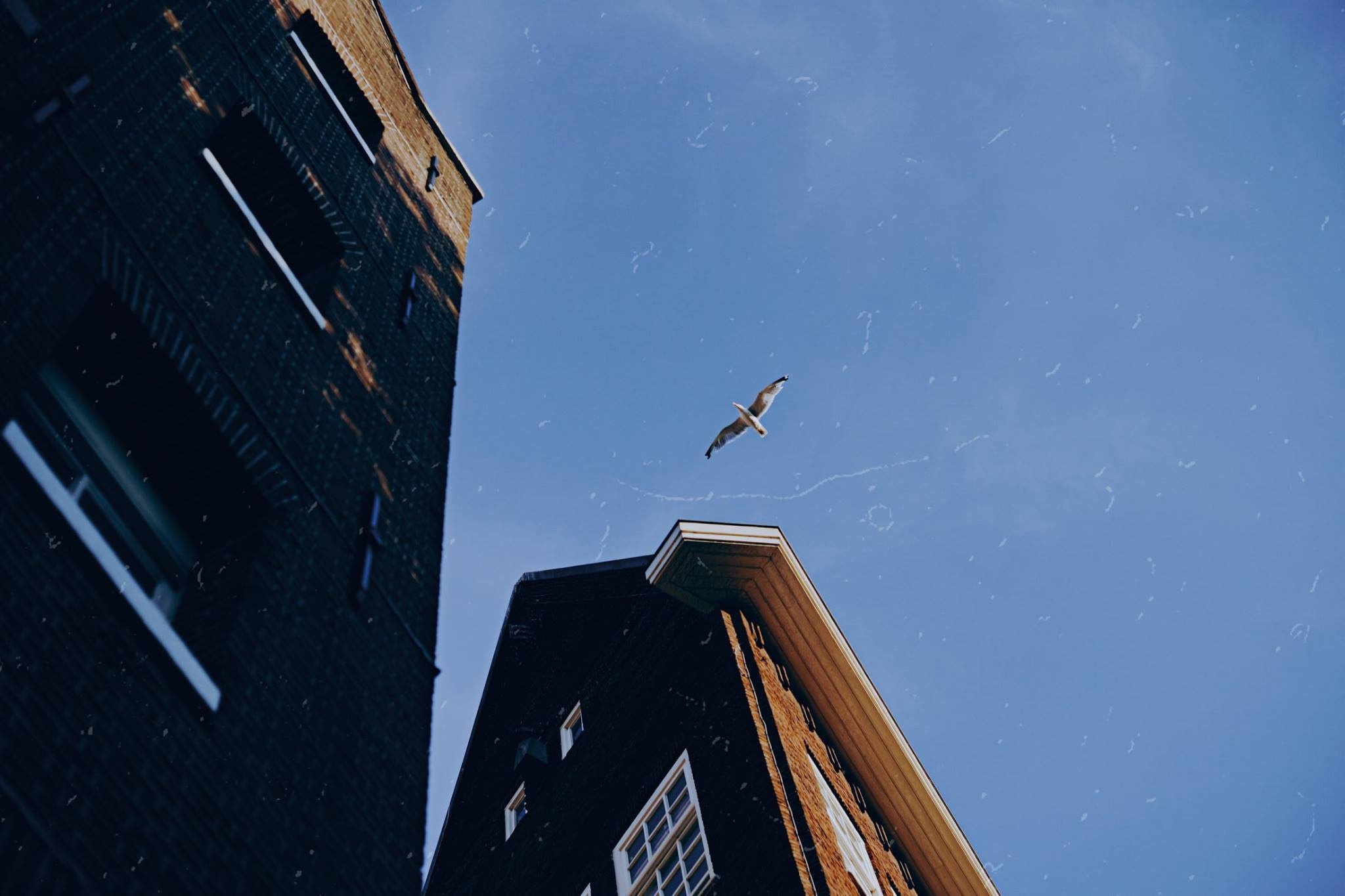 châu Âu trong mắt nhiếp ảnh gia Việt ảnh 12 chau Au trong mat nhiep anh gia Viet anh 12