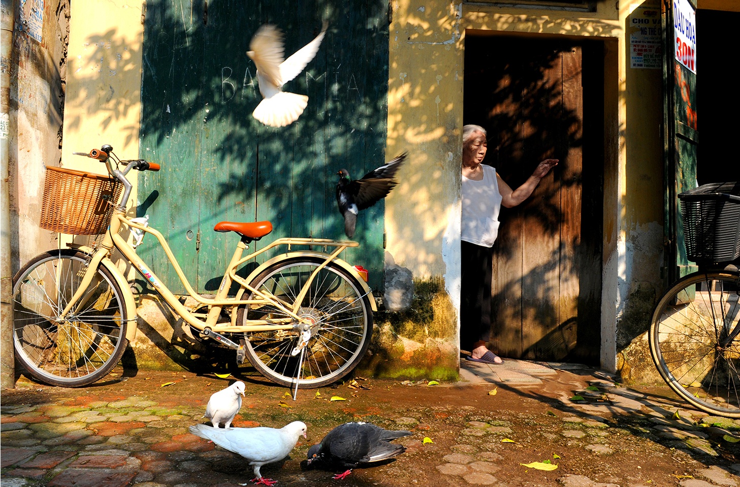 cảnh đẹp Hà Nội ảnh 12 canh dep Ha Noi anh 12