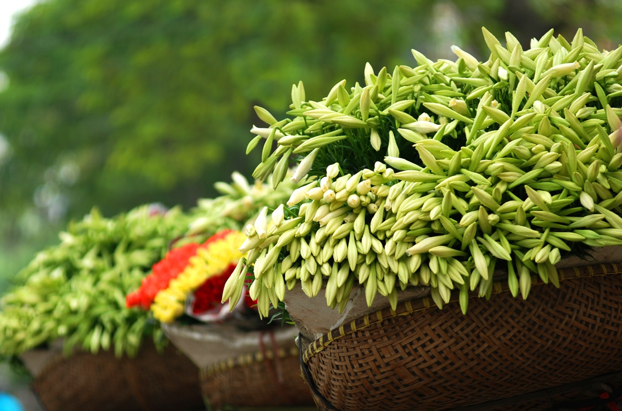 cảnh đẹp Hà Nội ảnh 4 canh dep Ha Noi anh 4