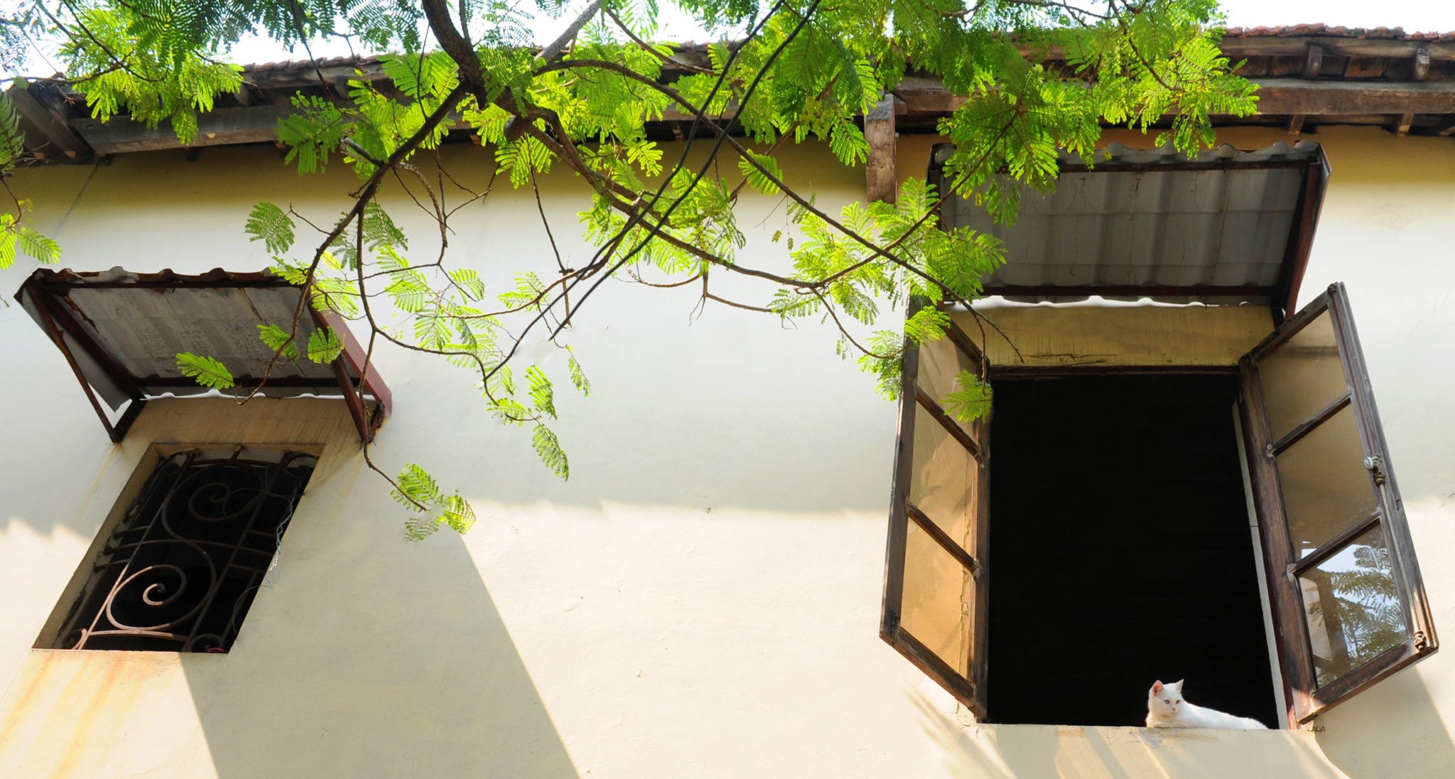 canh dep Ha Noi anh 17