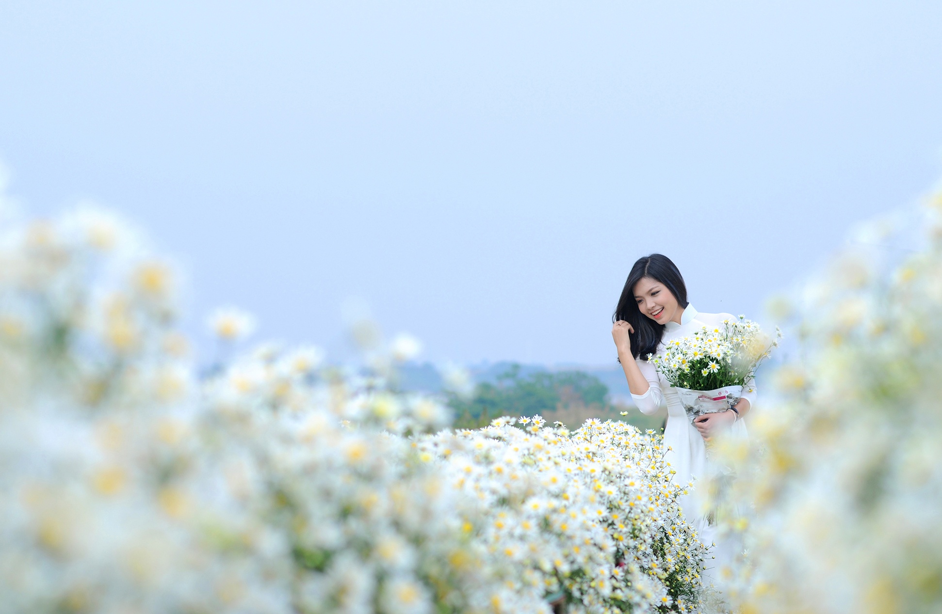 cảnh đẹp Hà Nội ảnh 37 canh dep Ha Noi anh 37