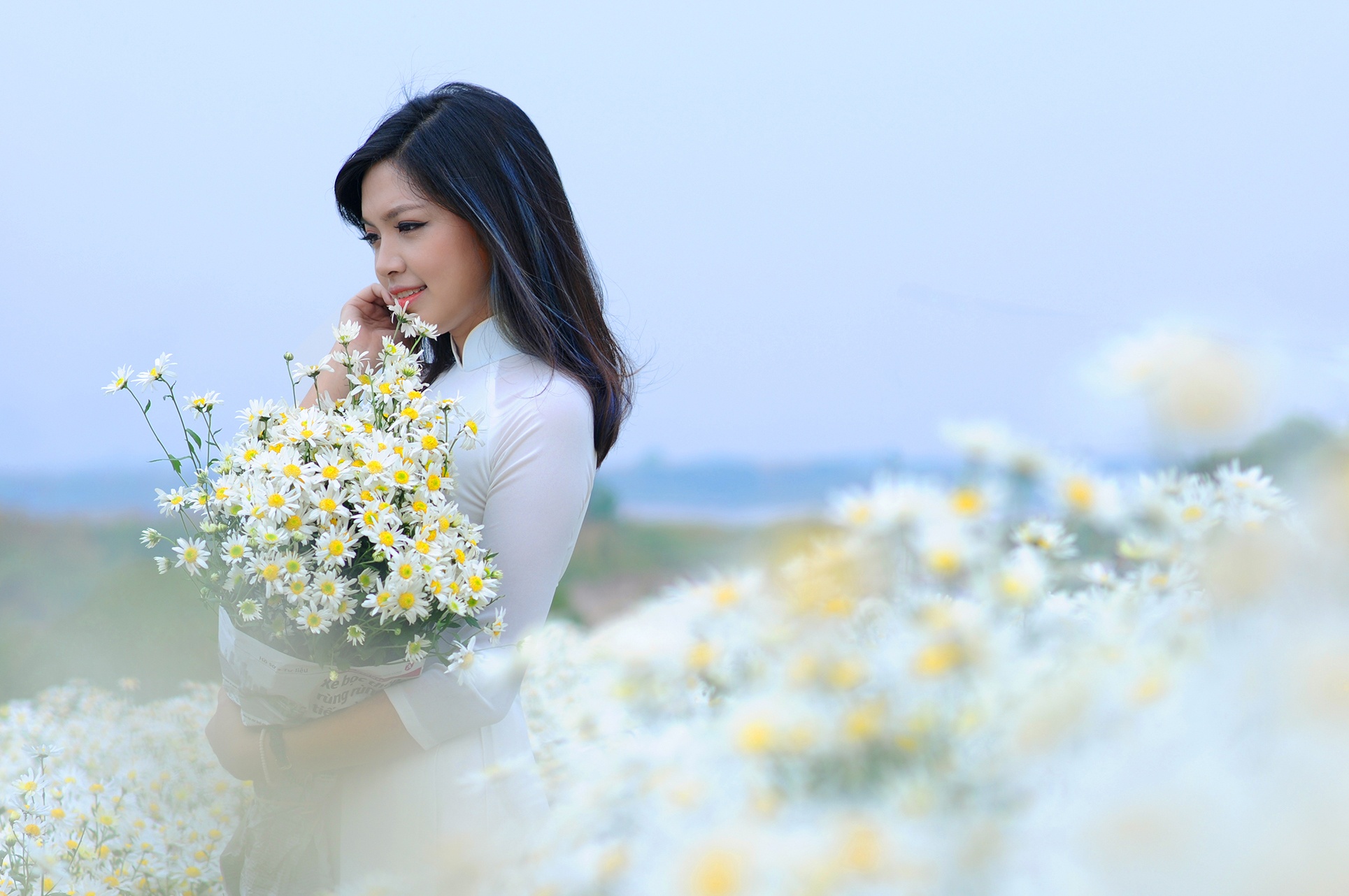 cảnh đẹp Hà Nội ảnh 38 canh dep Ha Noi anh 38