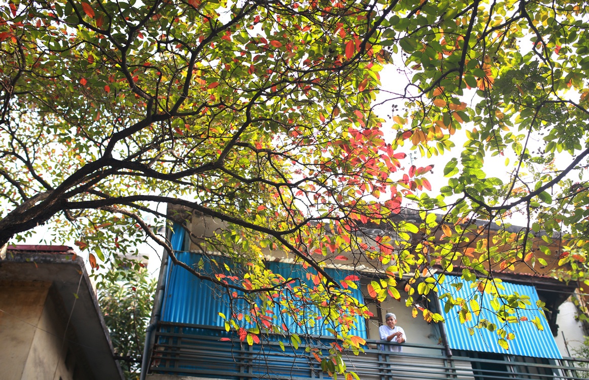 cảnh đẹp Hà Nội ảnh 16 canh dep Ha Noi anh 16