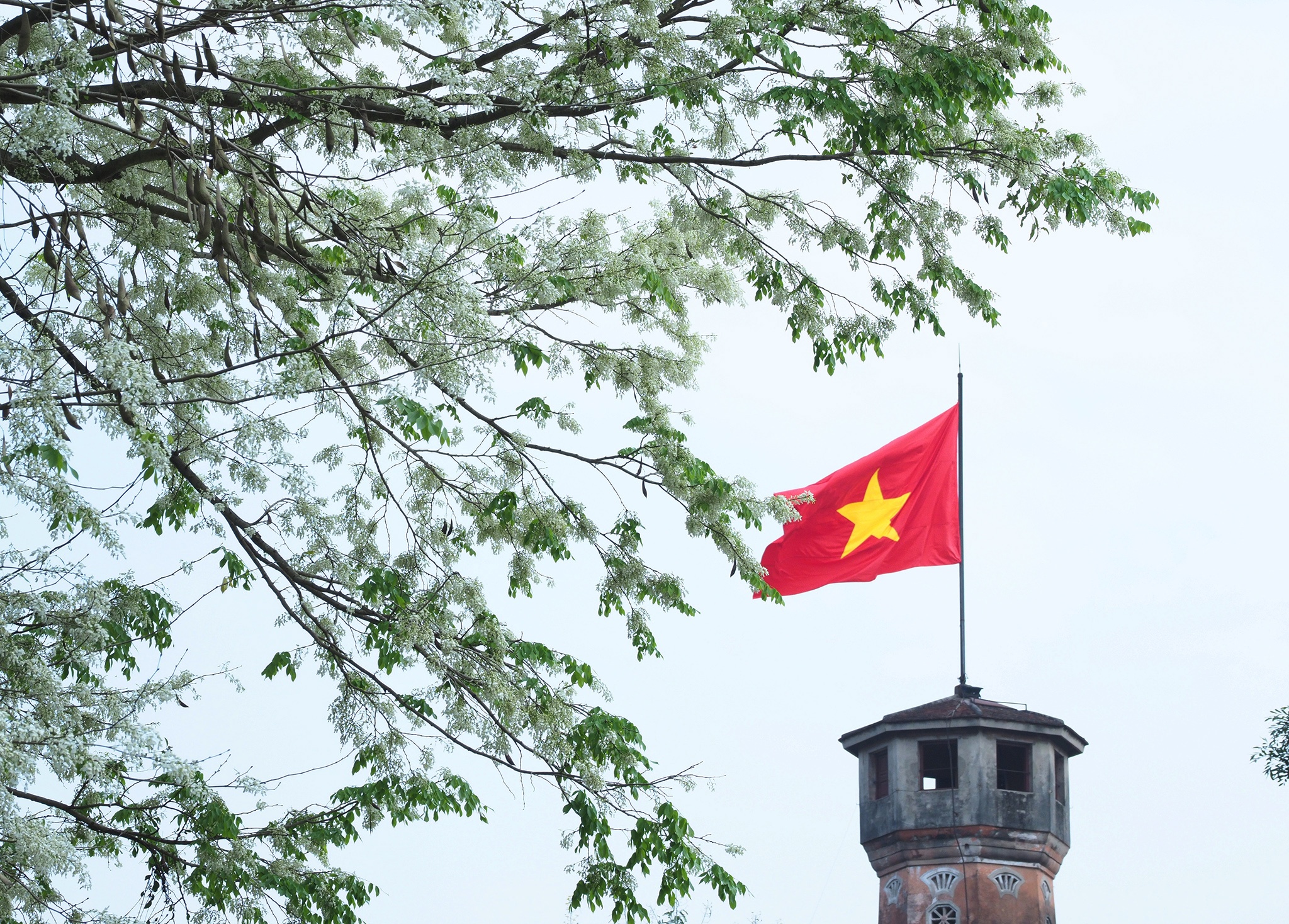 canh dep Ha Noi anh 2