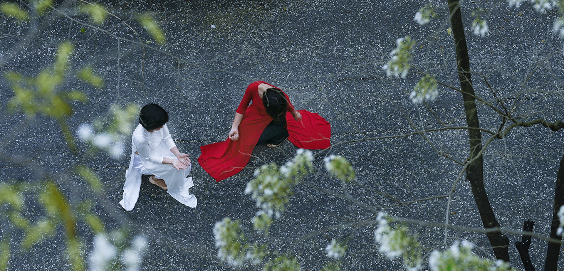 cảnh đẹp Hà Nội ảnh 41 canh dep Ha Noi anh 41