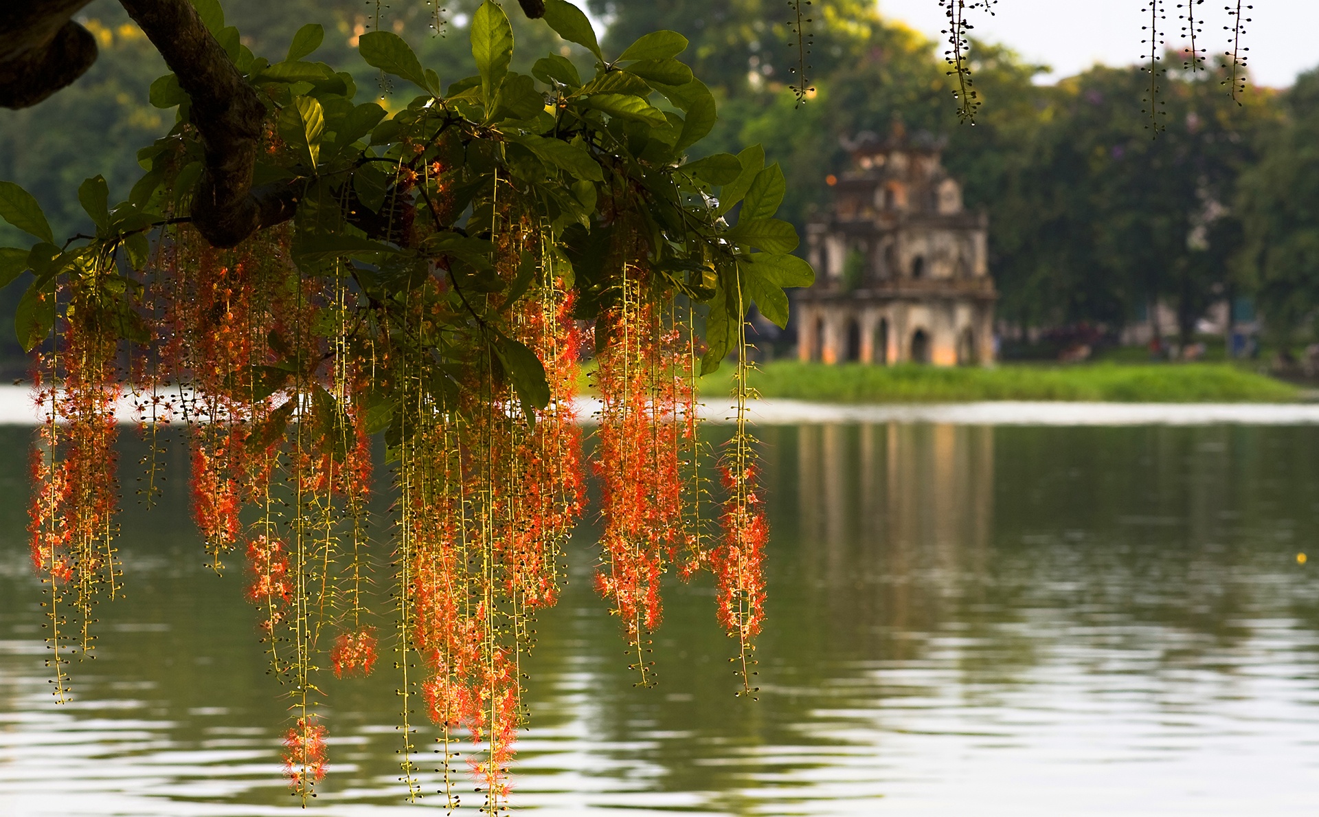 cảnh đẹp Hà Nội ảnh 32 canh dep Ha Noi anh 32