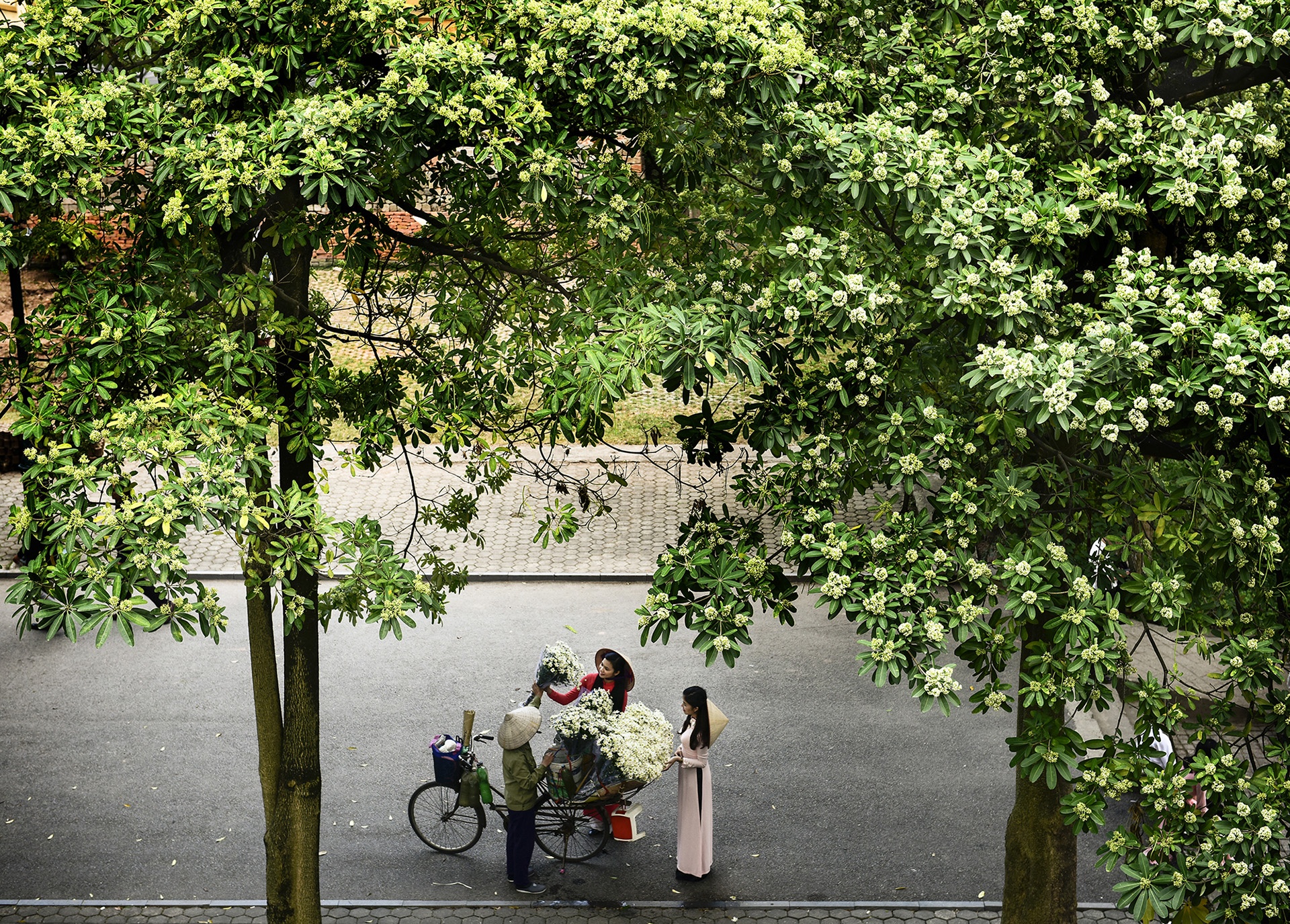 cảnh đẹp Hà Nội ảnh 42 canh dep Ha Noi anh 42