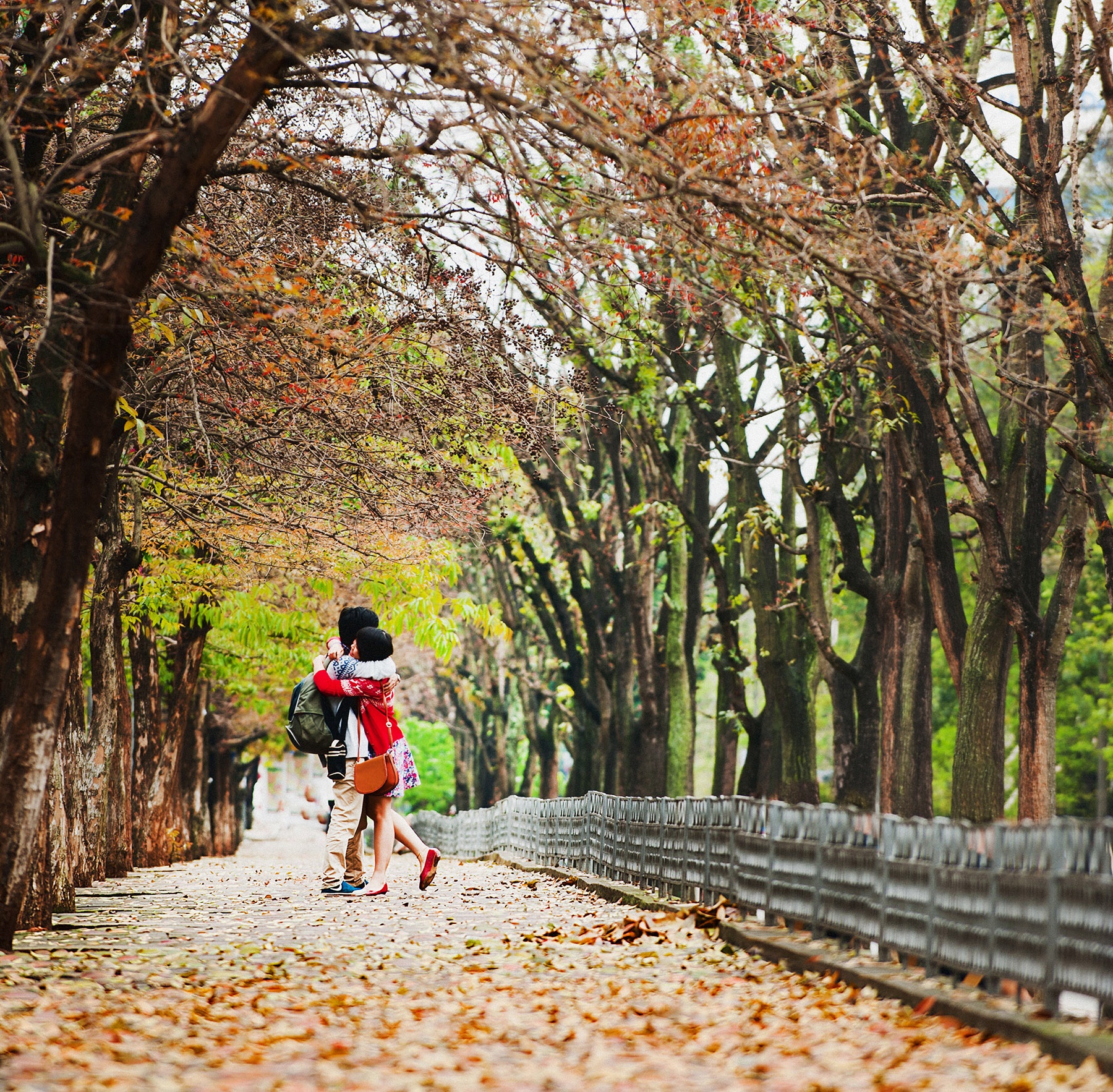 cảnh đẹp Hà Nội ảnh 26 canh dep Ha Noi anh 26