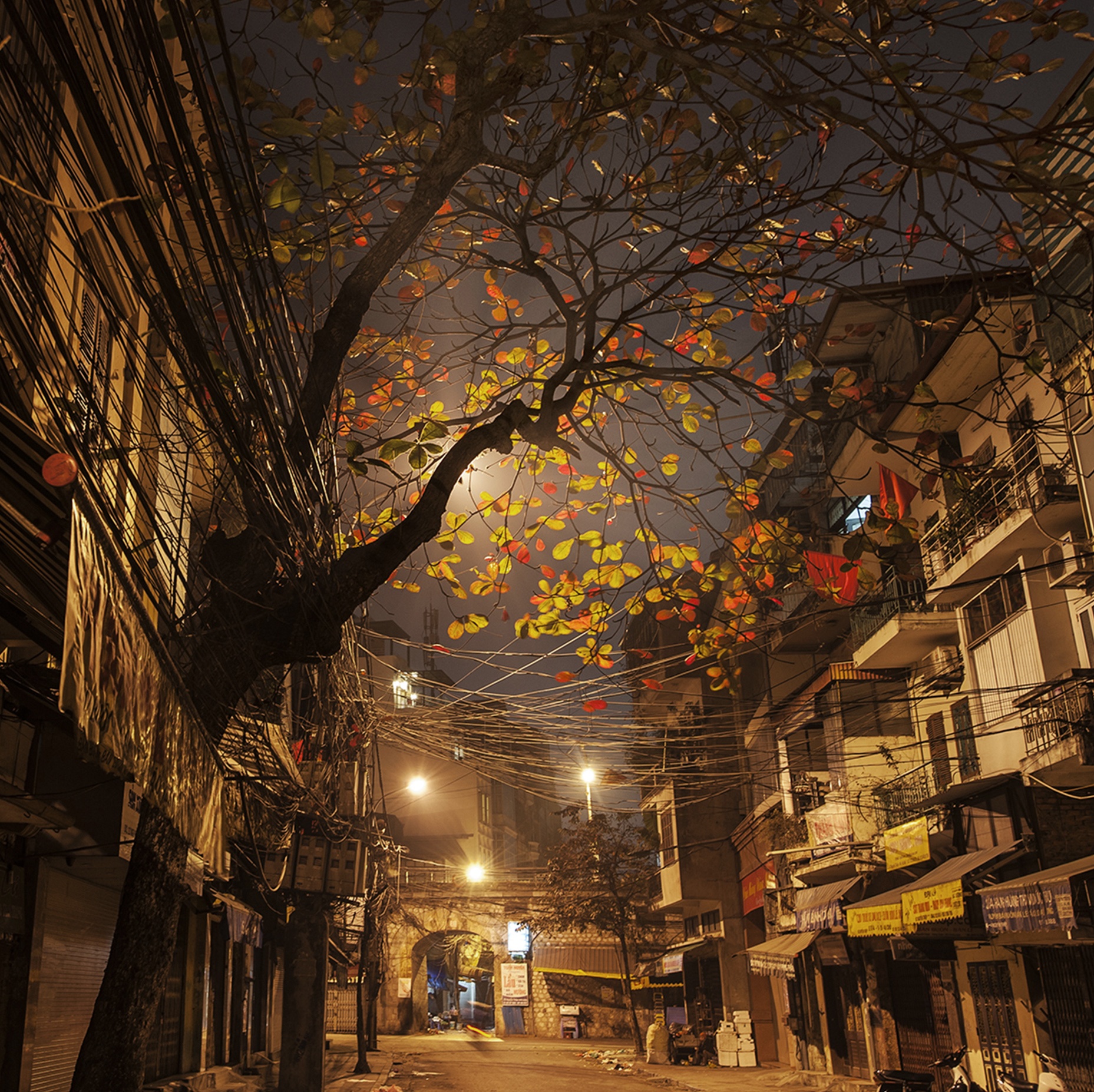 cảnh đẹp Hà Nội ảnh 29 canh dep Ha Noi anh 29