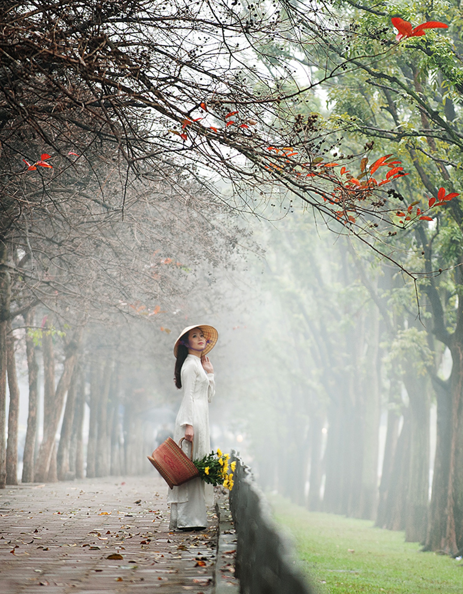 cảnh đẹp Hà Nội ảnh 39 canh dep Ha Noi anh 39