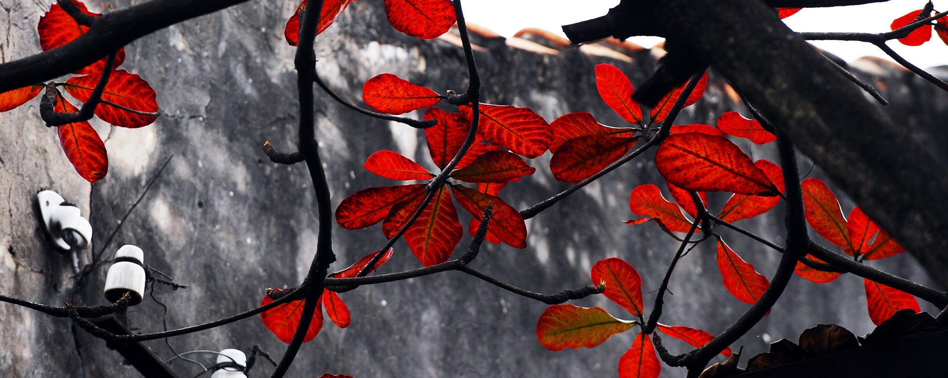 cảnh đẹp Hà Nội ảnh 14 canh dep Ha Noi anh 14