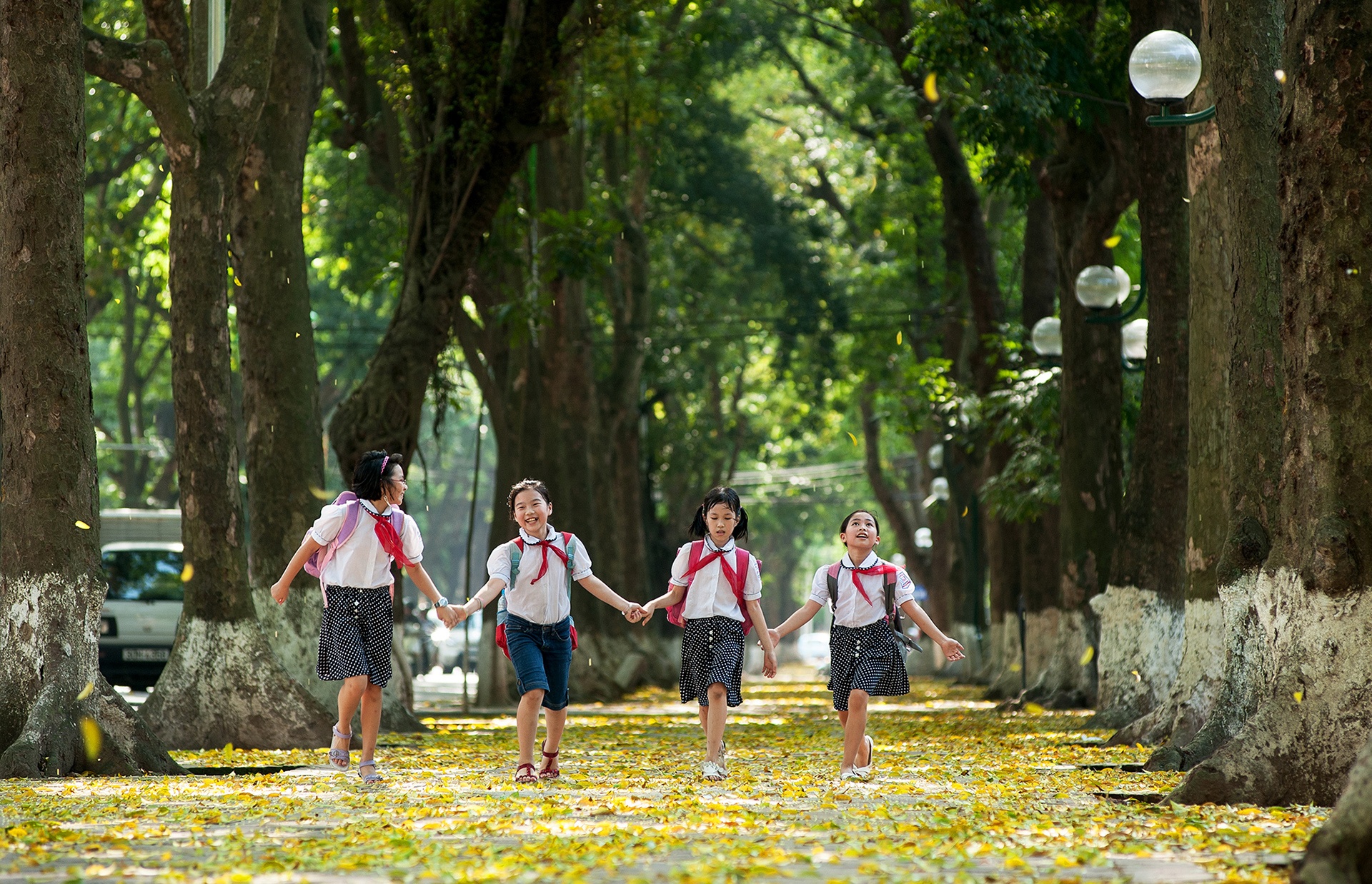 cảnh đẹp Hà Nội ảnh 25 canh dep Ha Noi anh 25