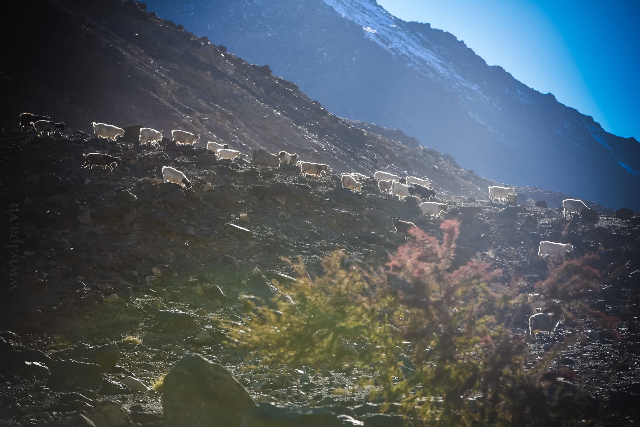 du lich Ladakh anh 24