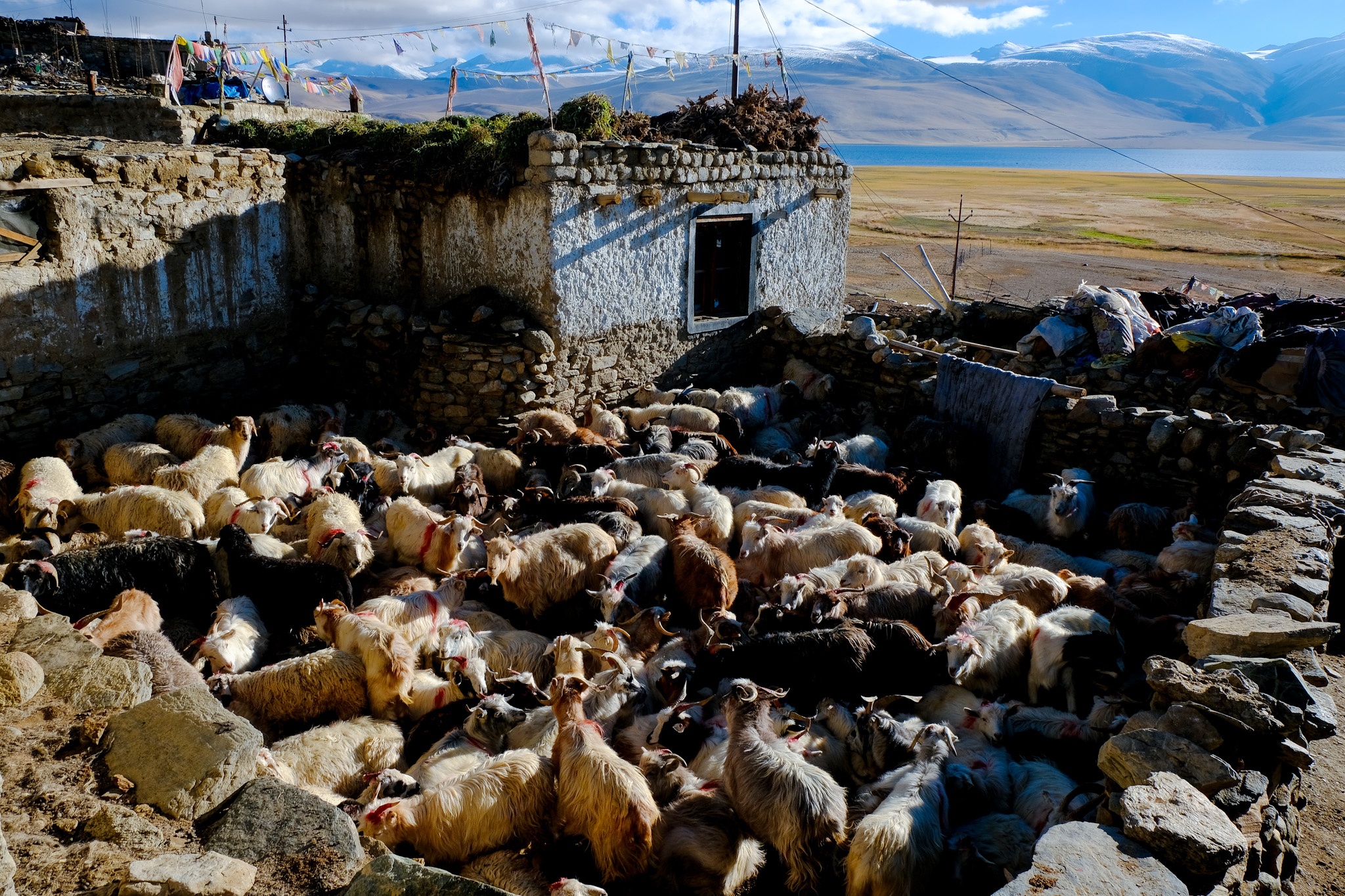 du lich Ladakh anh 26