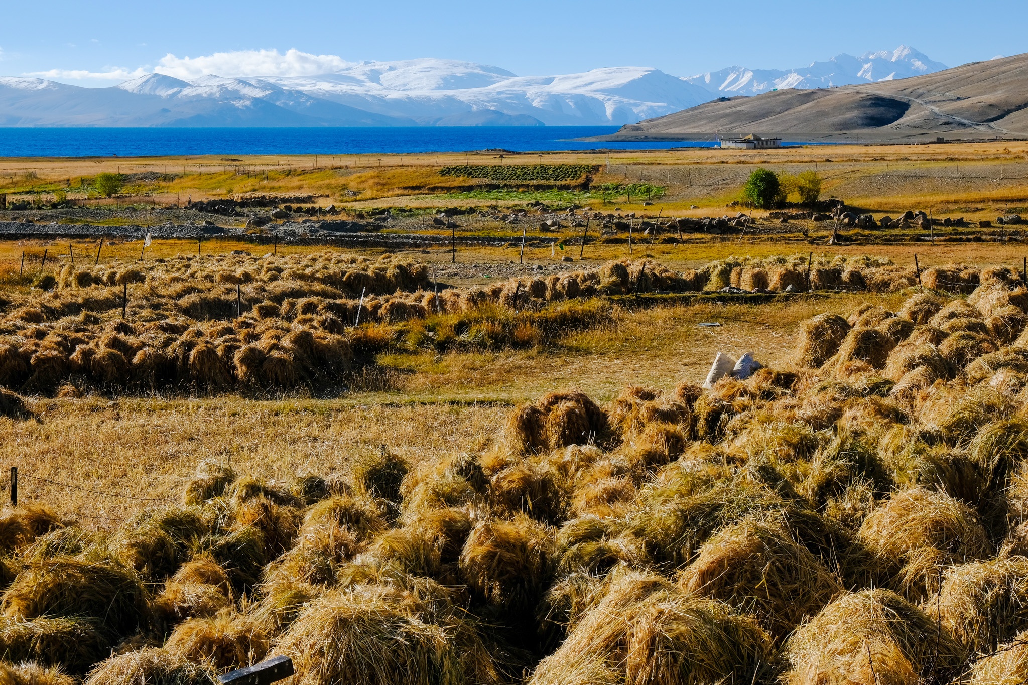 du lich Ladakh anh 25