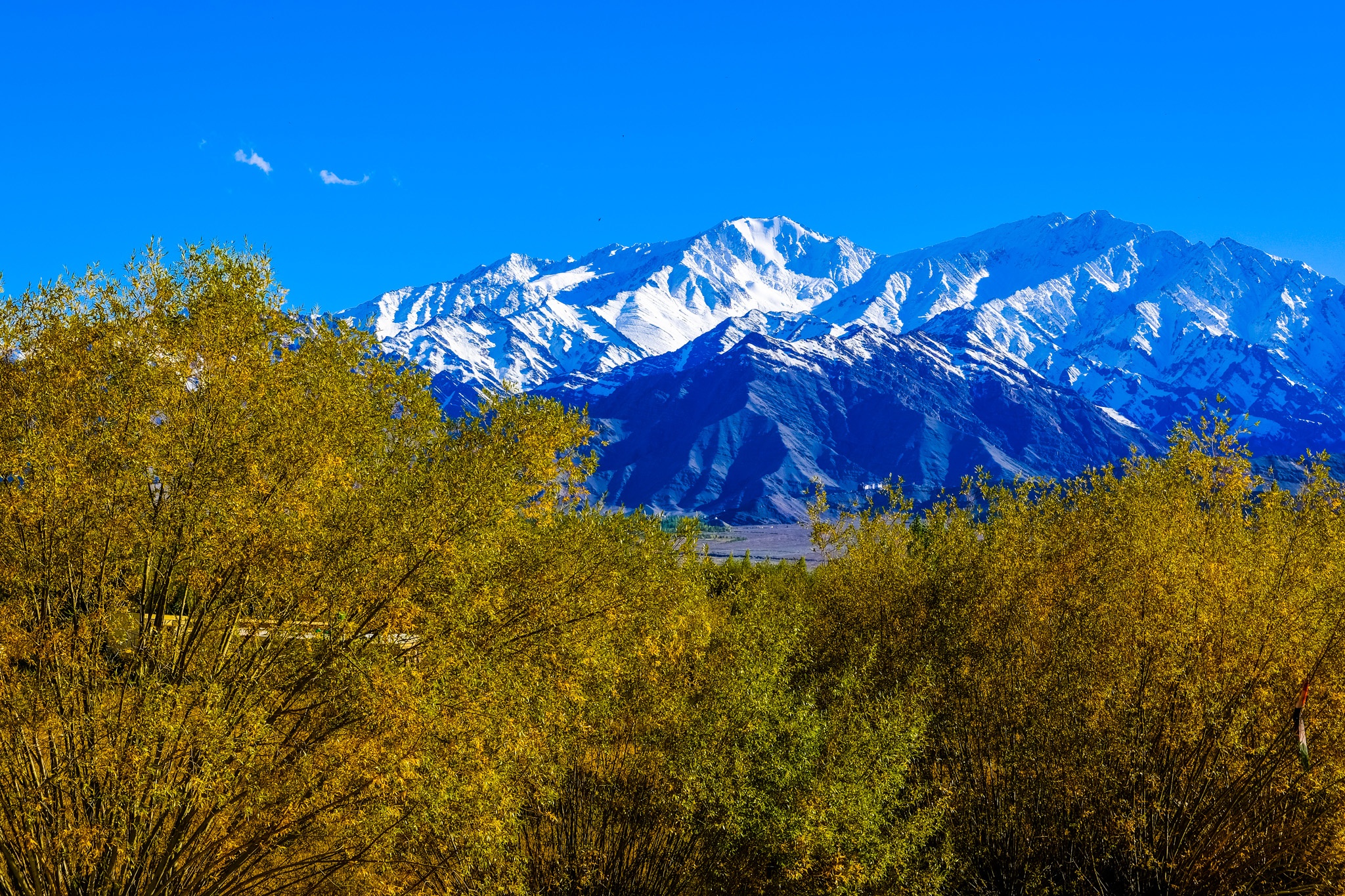 Sac mau ma mi cua mua thu duoi chan day Himalaya hinh anh