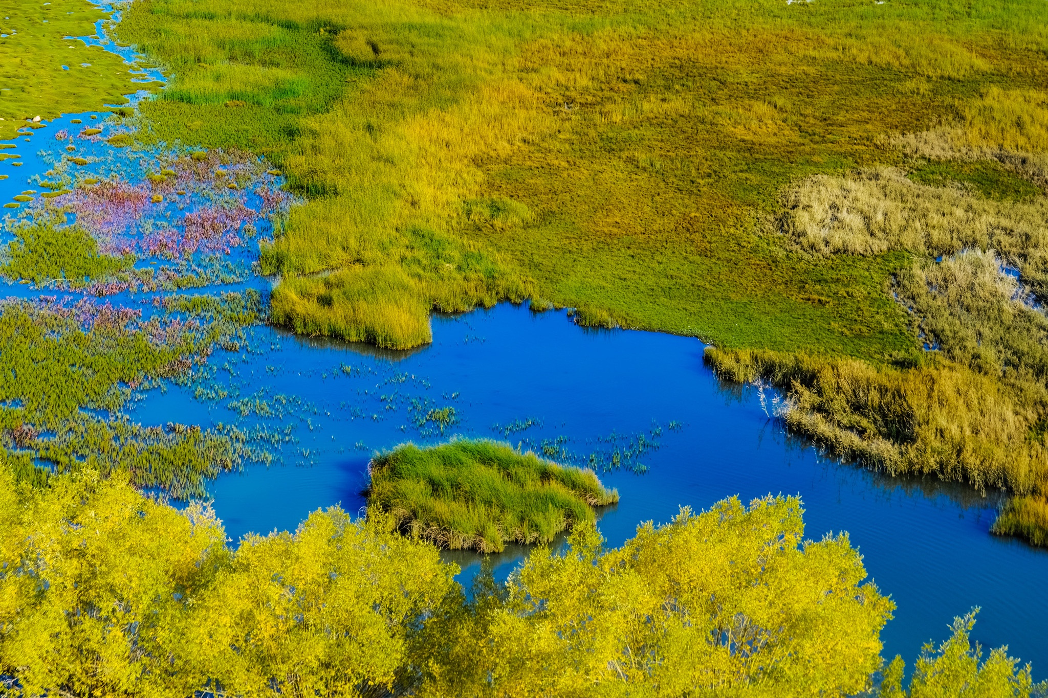 du lich Ladakh anh 11