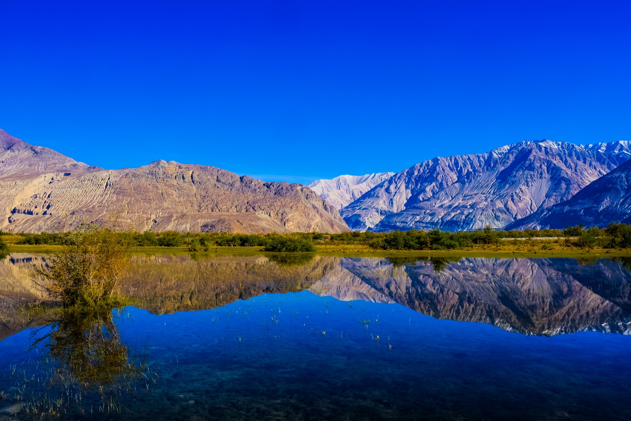 du lich Ladakh anh 2