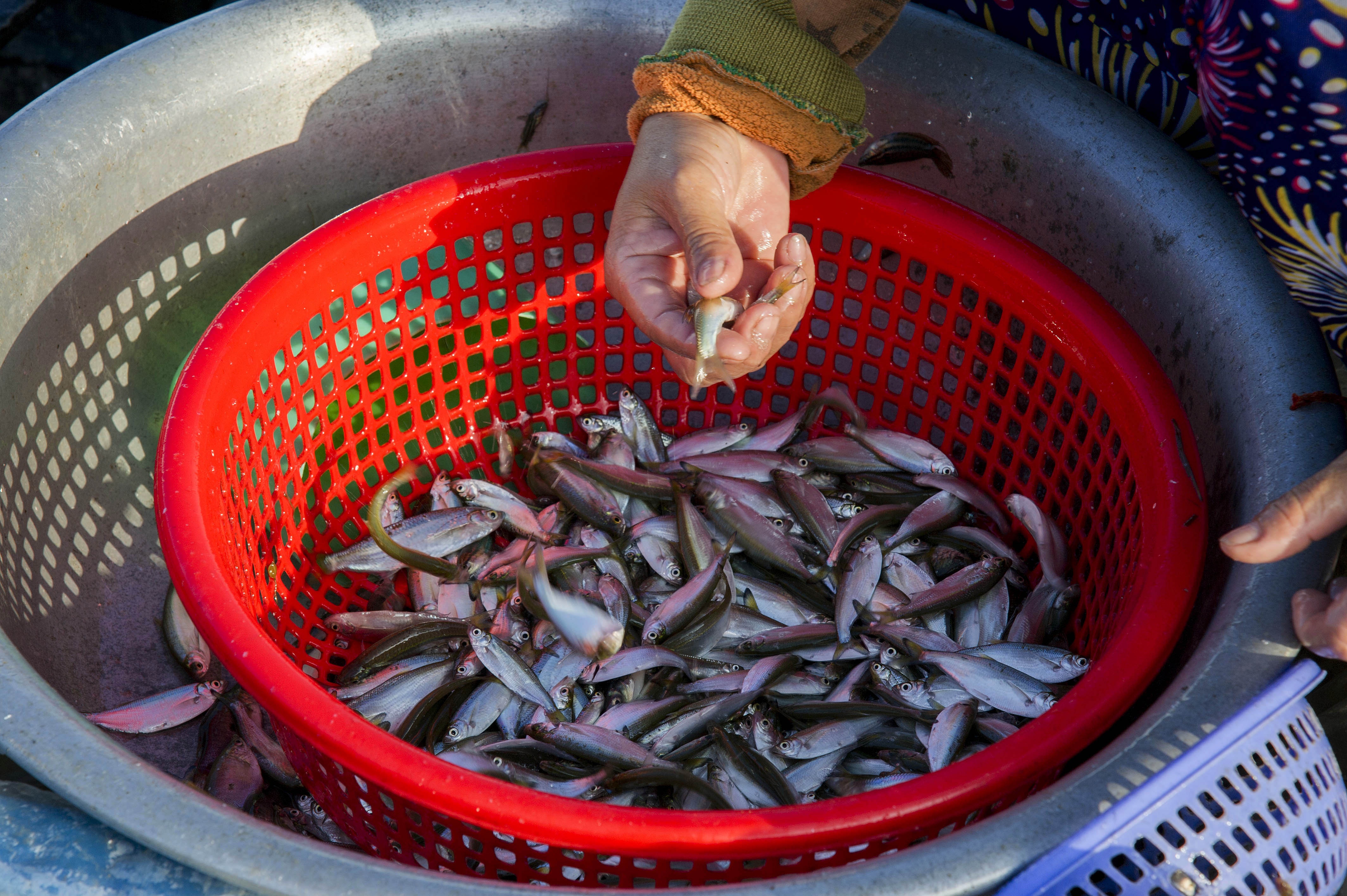mua lu o Kien Giang anh 12