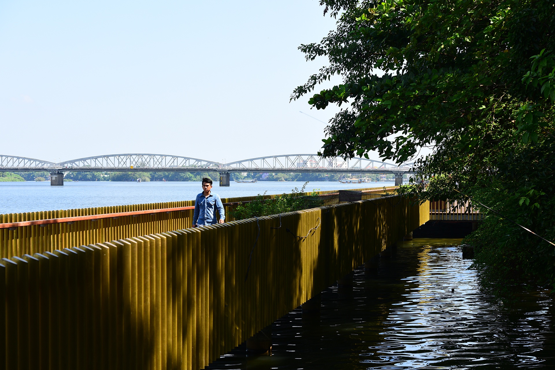 cau di bo bang go lim tren song Huong o Hue anh 3