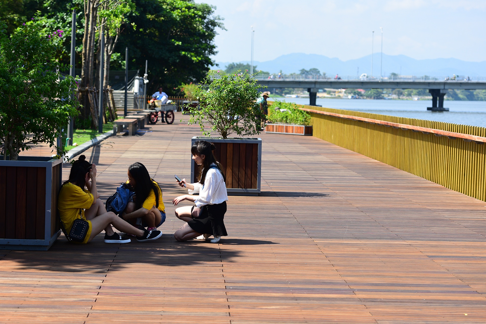 cau di bo bang go lim tren song Huong o Hue anh 7