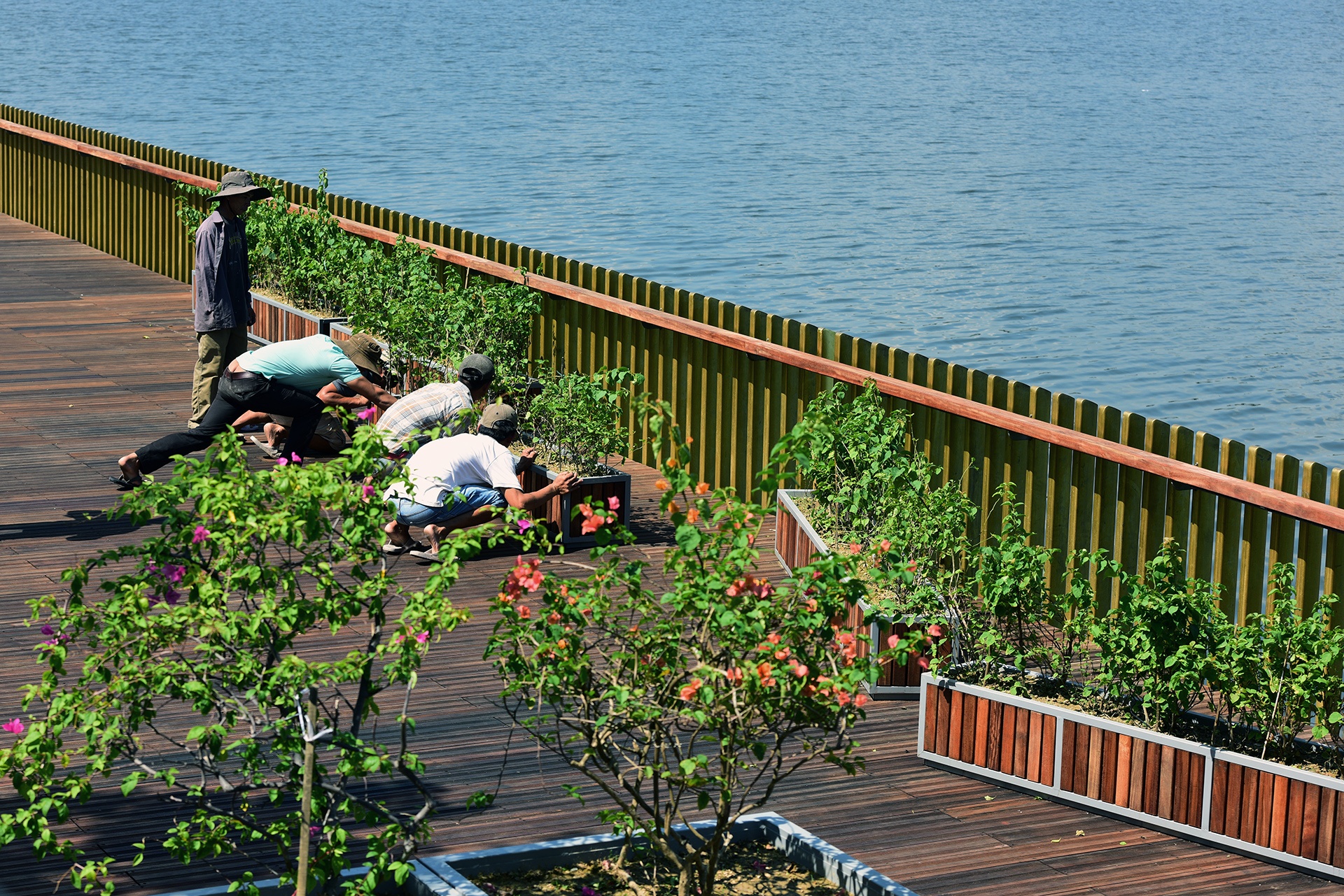 cau di bo bang go lim tren song Huong o Hue anh 6