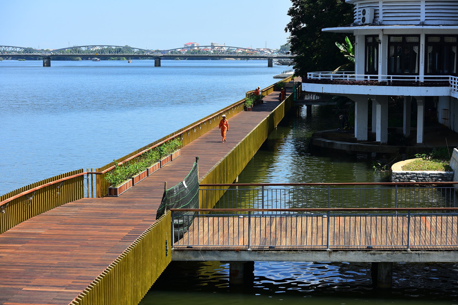 cau di bo bang go lim tren song Huong o Hue anh 1