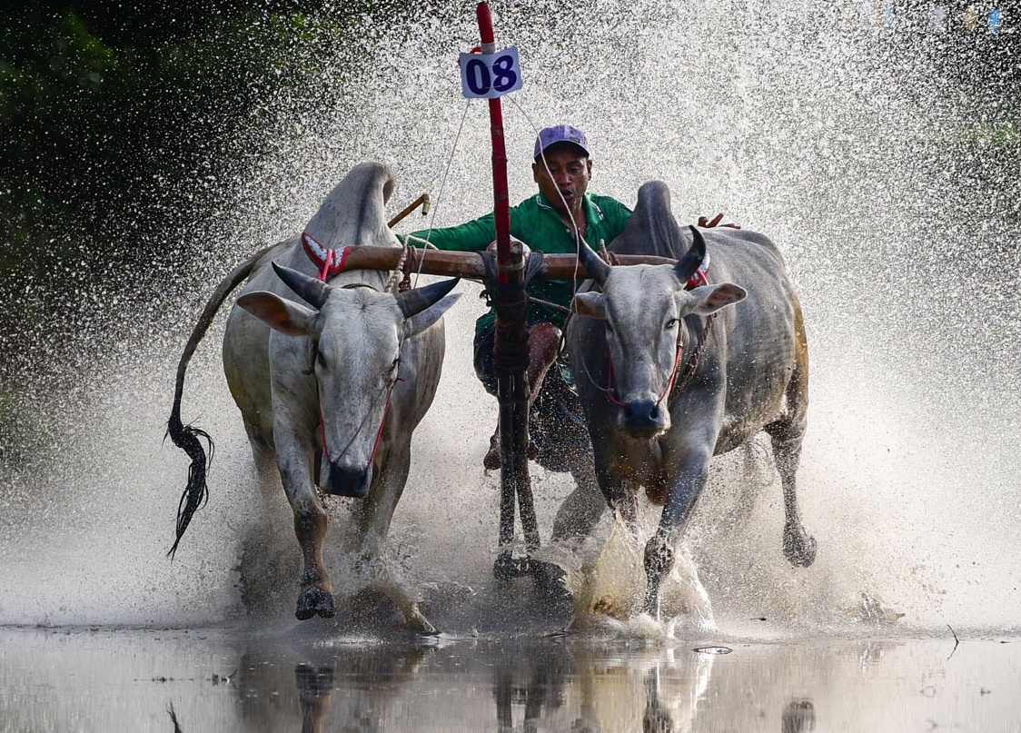 Nhung pha dua bo quyet liet tren vung lay o mien Tay hinh anh