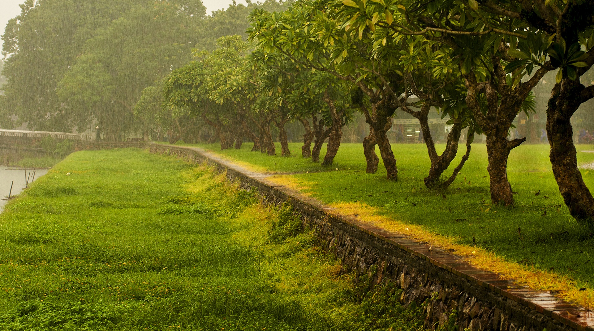 mua Hue lang man anh 10