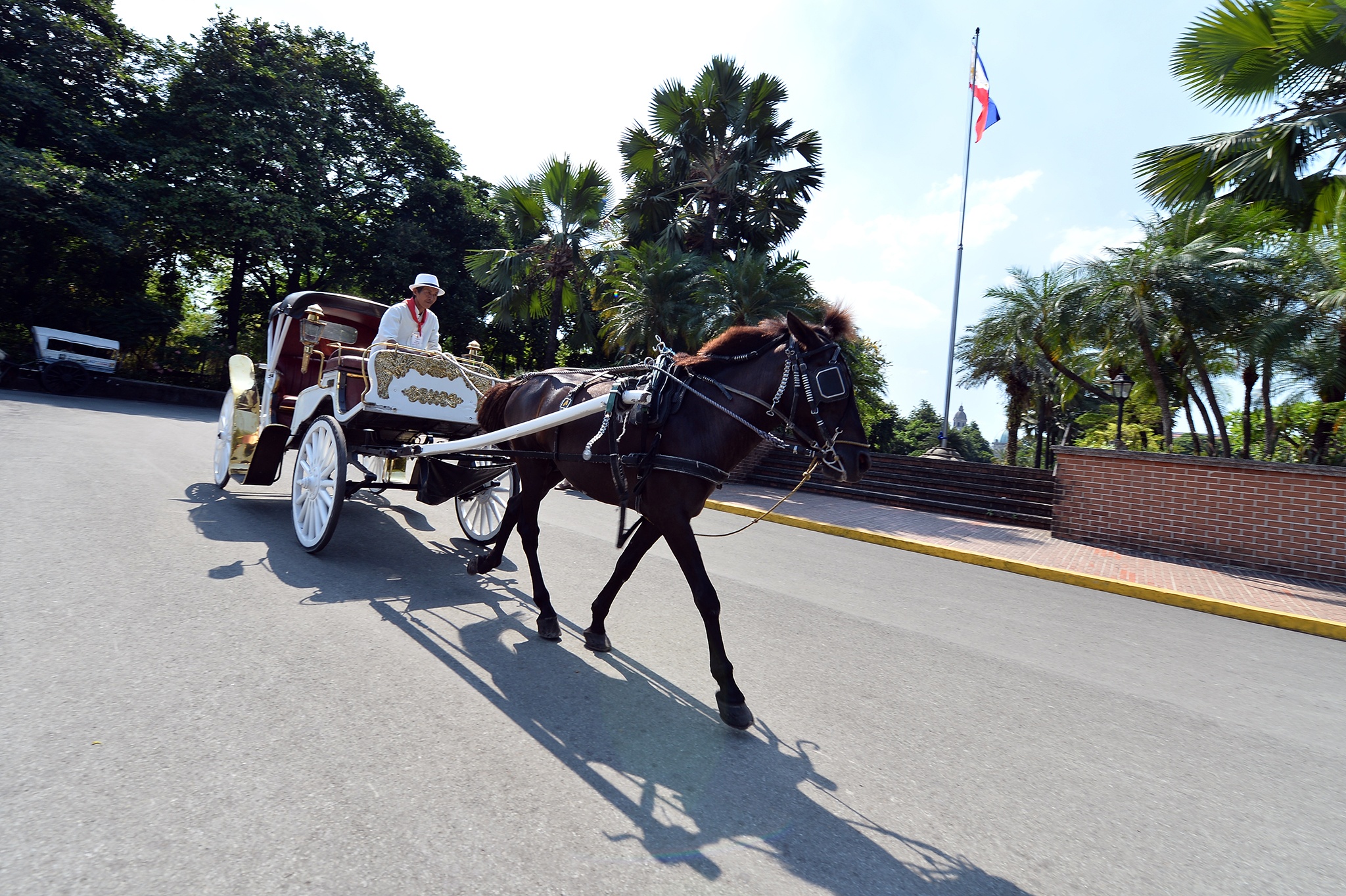 du lịch Philippines và Cebu ảnh 24 du lich Philippines va Cebu anh 24