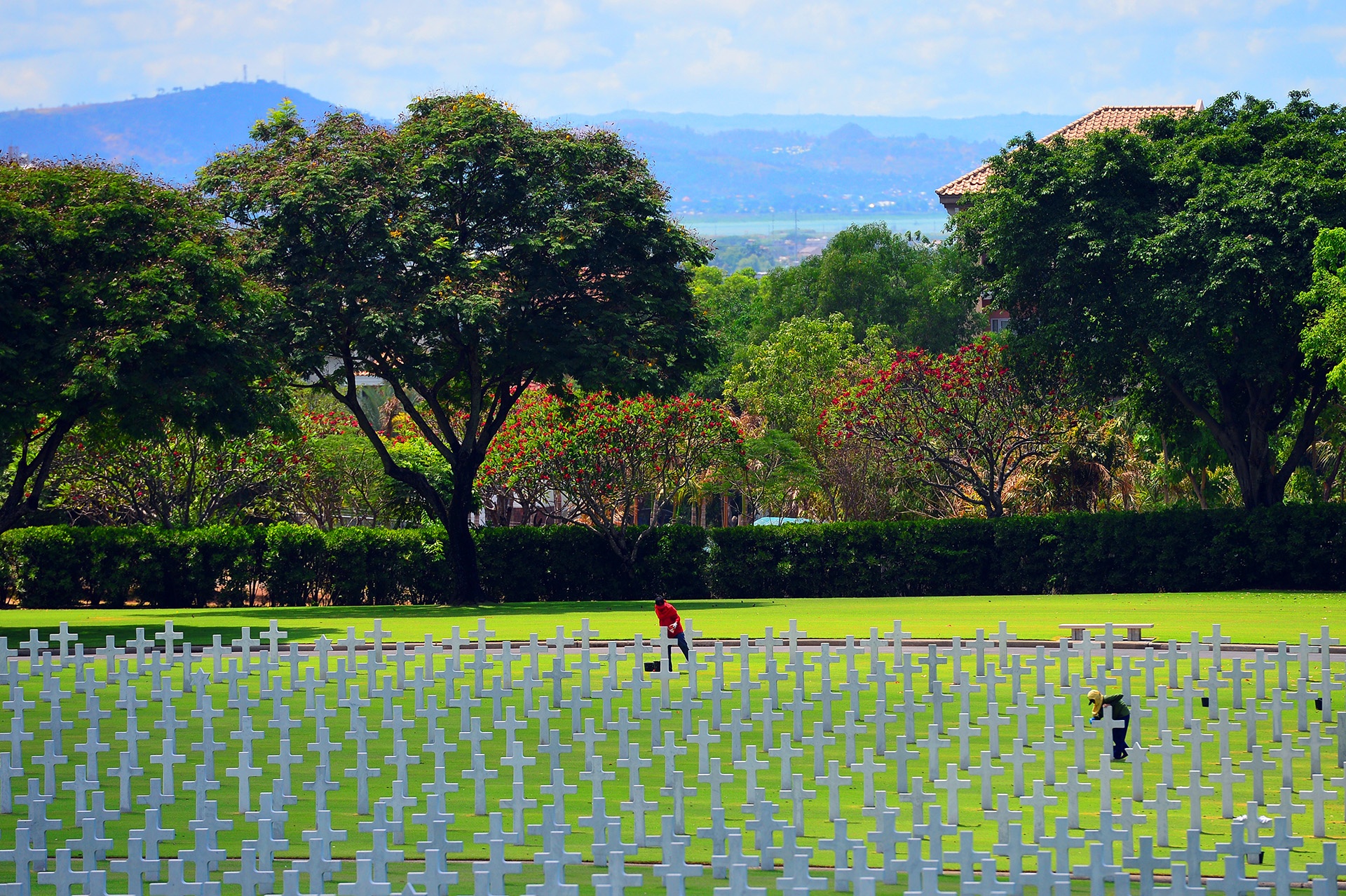 du lịch Philippines và Cebu ảnh 31 du lich Philippines va Cebu anh 31
