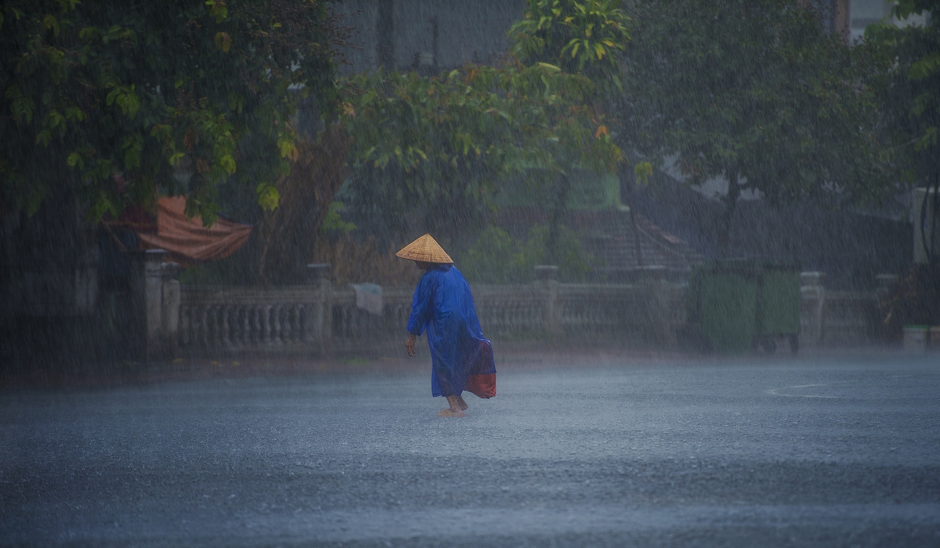 mua Hue lang man anh 6