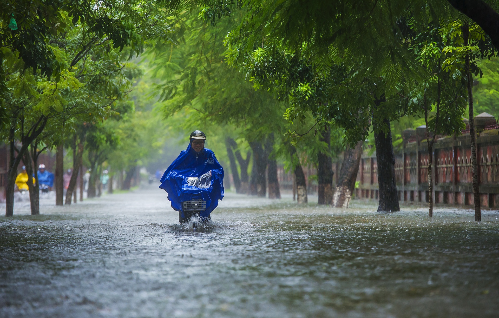 mua Hue lang man anh 8