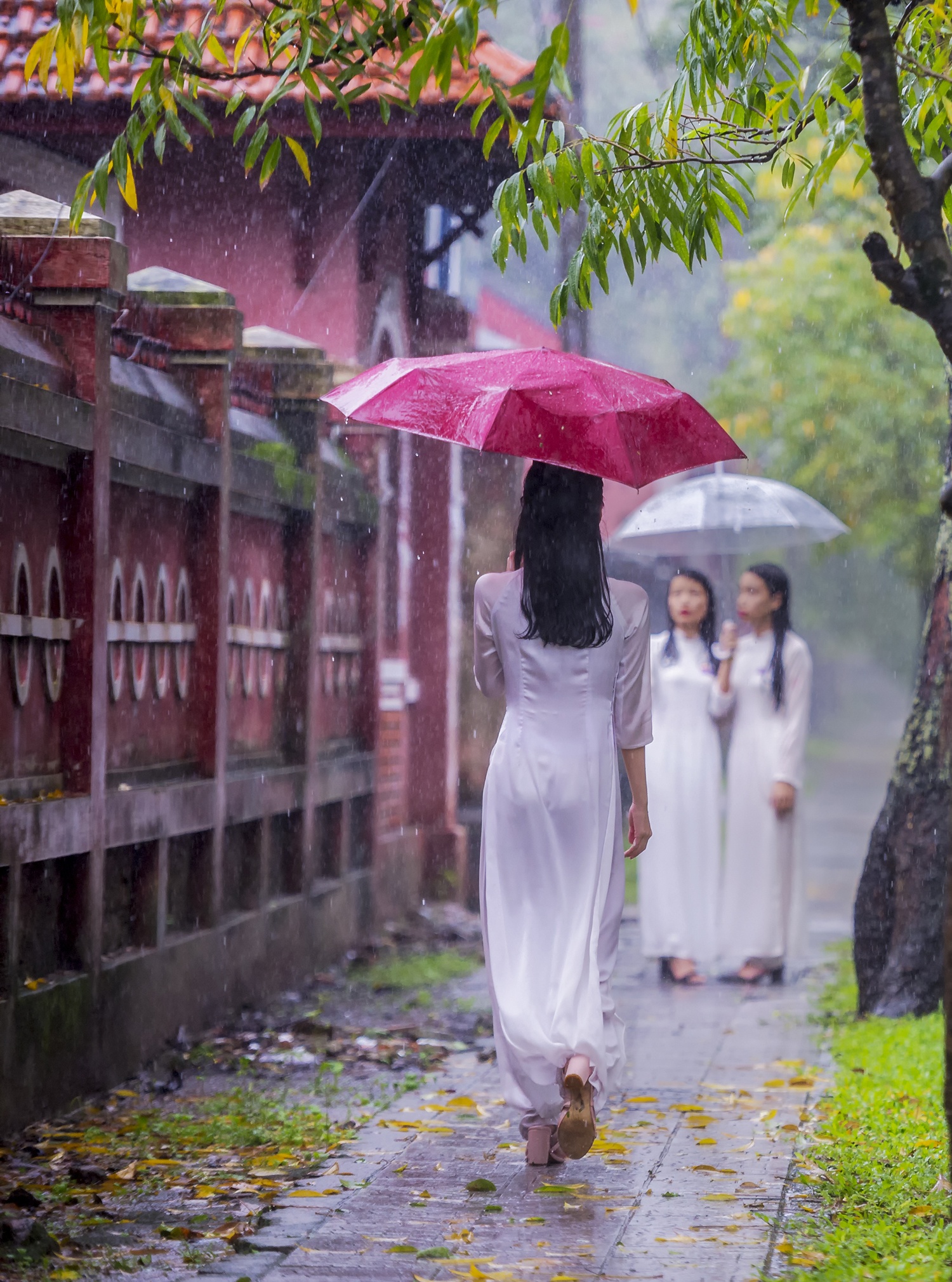 mua Hue lang man anh 5