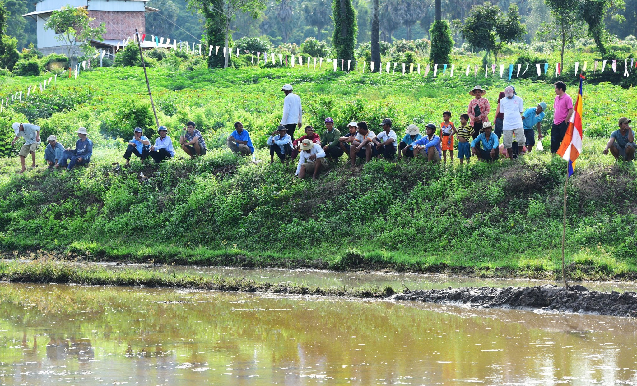 dua bo An Giang anh 2
