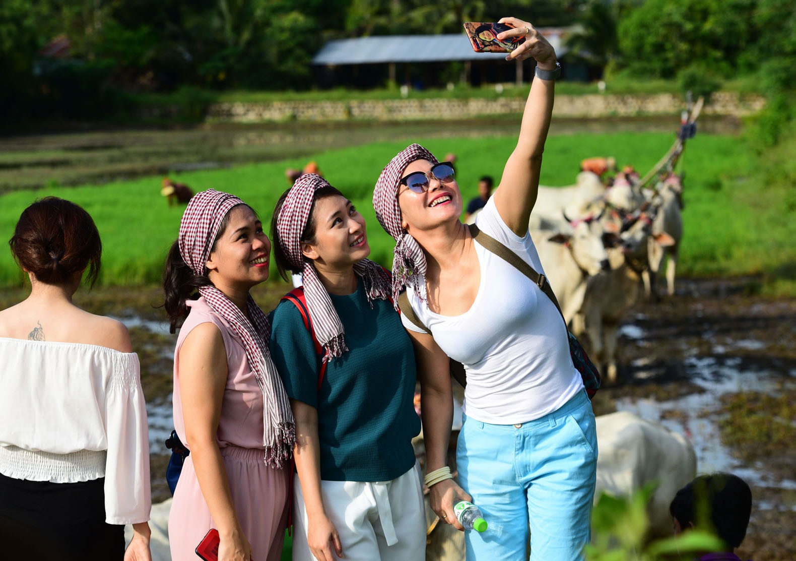 dua bo An Giang anh 3