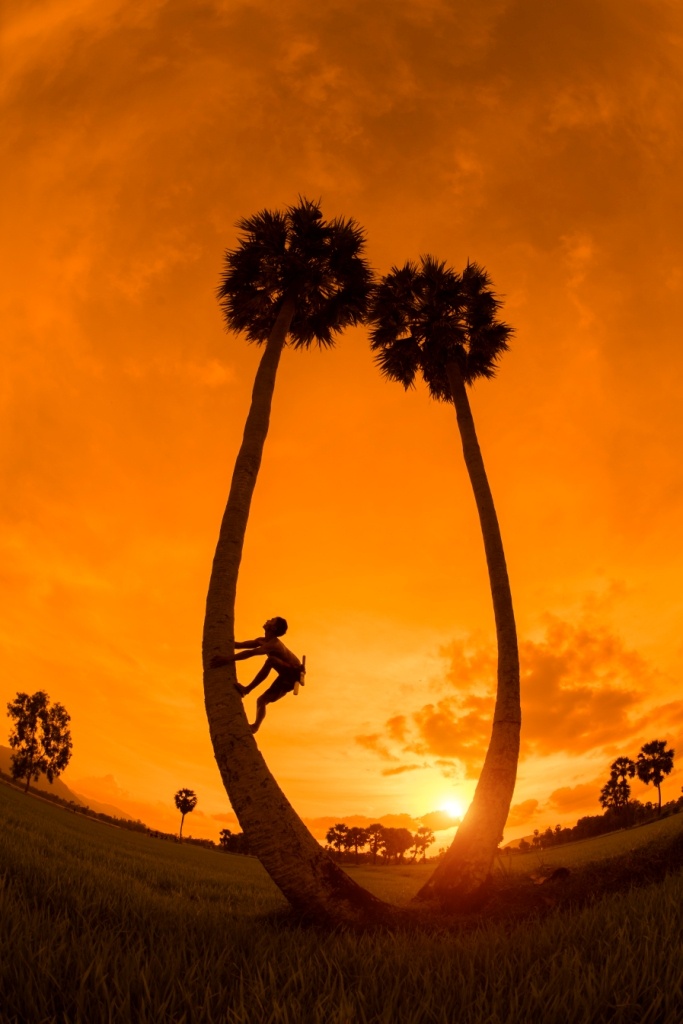 canh dep di san Viet Nam anh 7